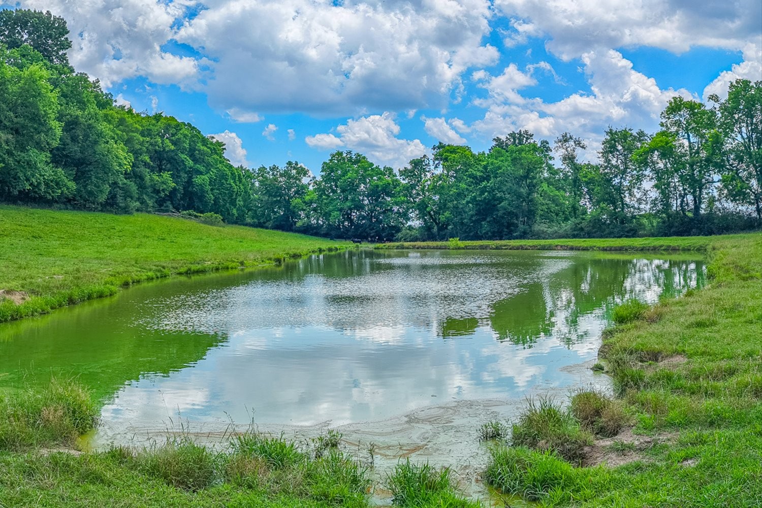 2200 Sugar Ridge Road Spring Hill, TN 37174 - Photo 3 of 41 a view of a lake with a yard