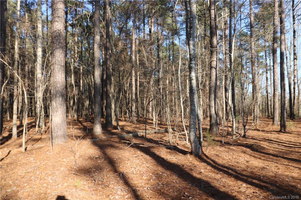 15 Sierra Road, Unit 15 York, SC 29745 - Photo 4 of 8
