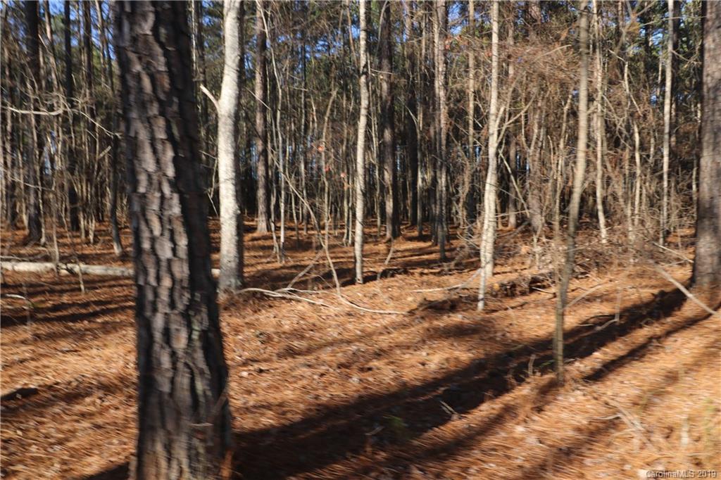 15 Sierra Road, Unit 15 York, SC 29745 - Photo 5 of 8