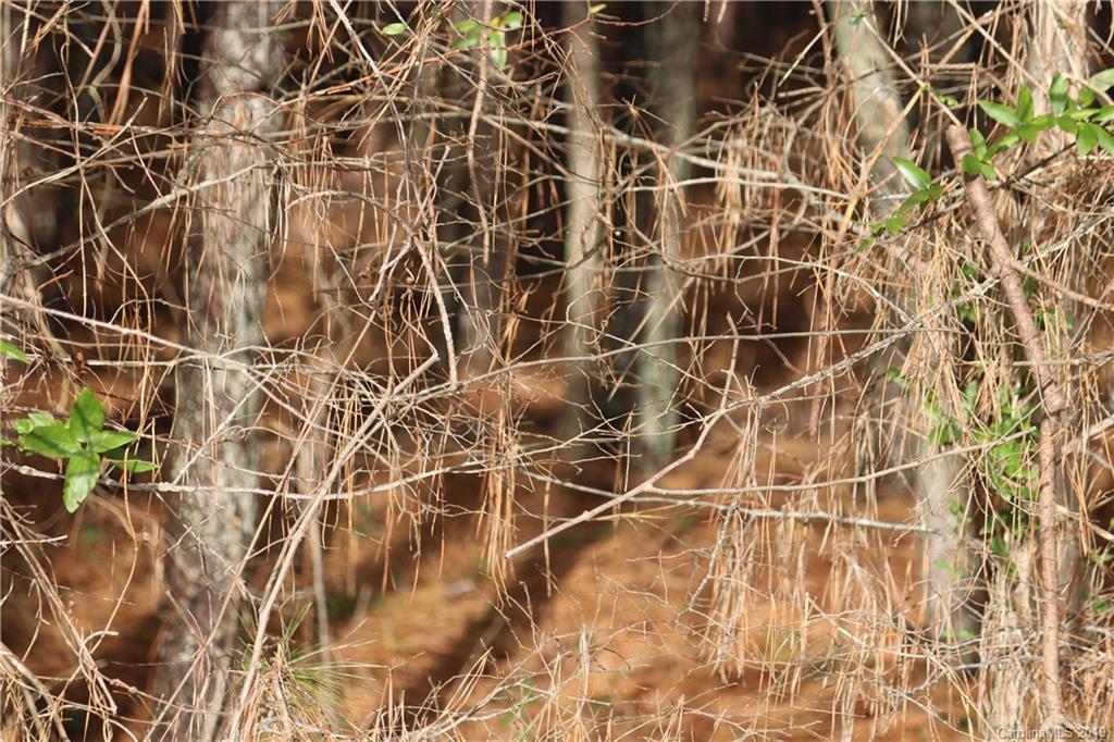 15 Sierra Road, Unit 15 York, SC 29745 - Photo 6 of 8