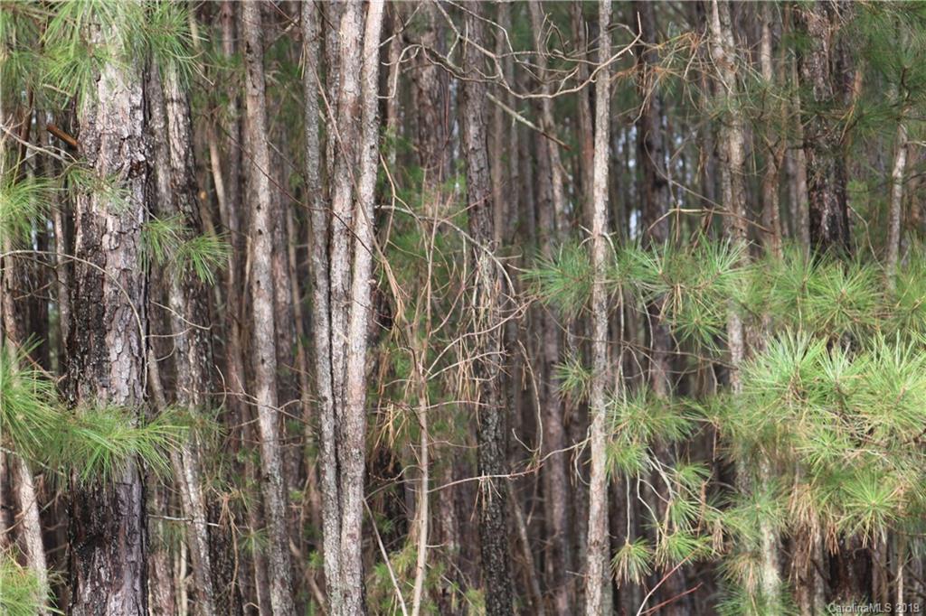 15 Sierra Road, Unit 15 York, SC 29745 - Photo 7 of 8