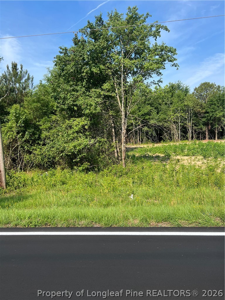 0 Produce Market Road Laurinburg, NC 28352 - Photo 1 of 3