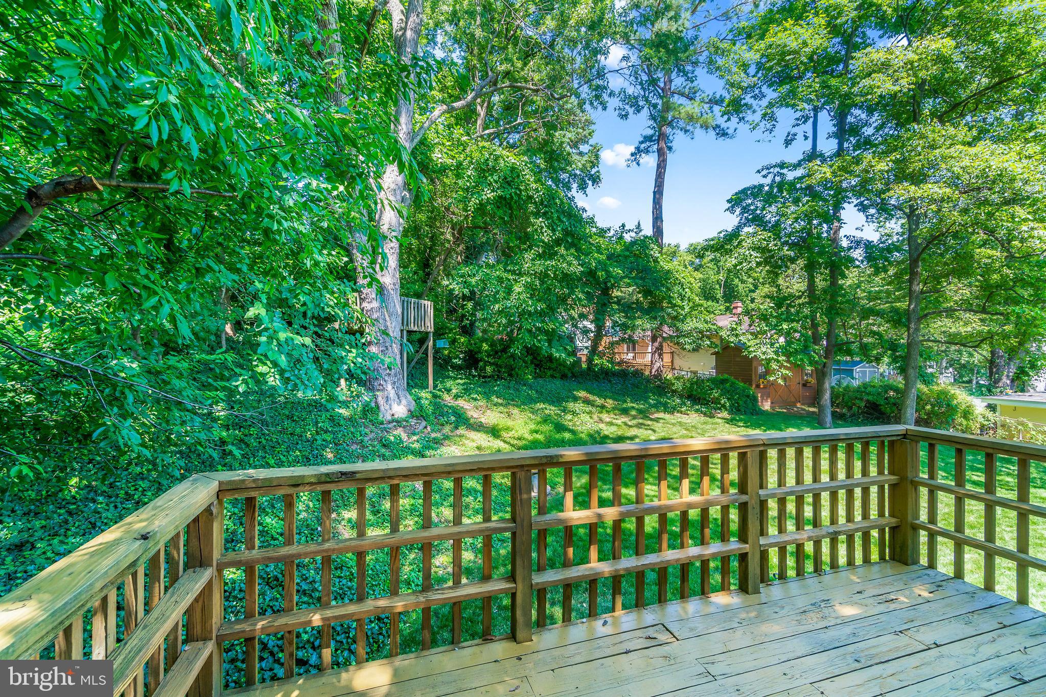 5802 Norton Road Alexandria, VA 22303 - Photo 25 of 32 Deck