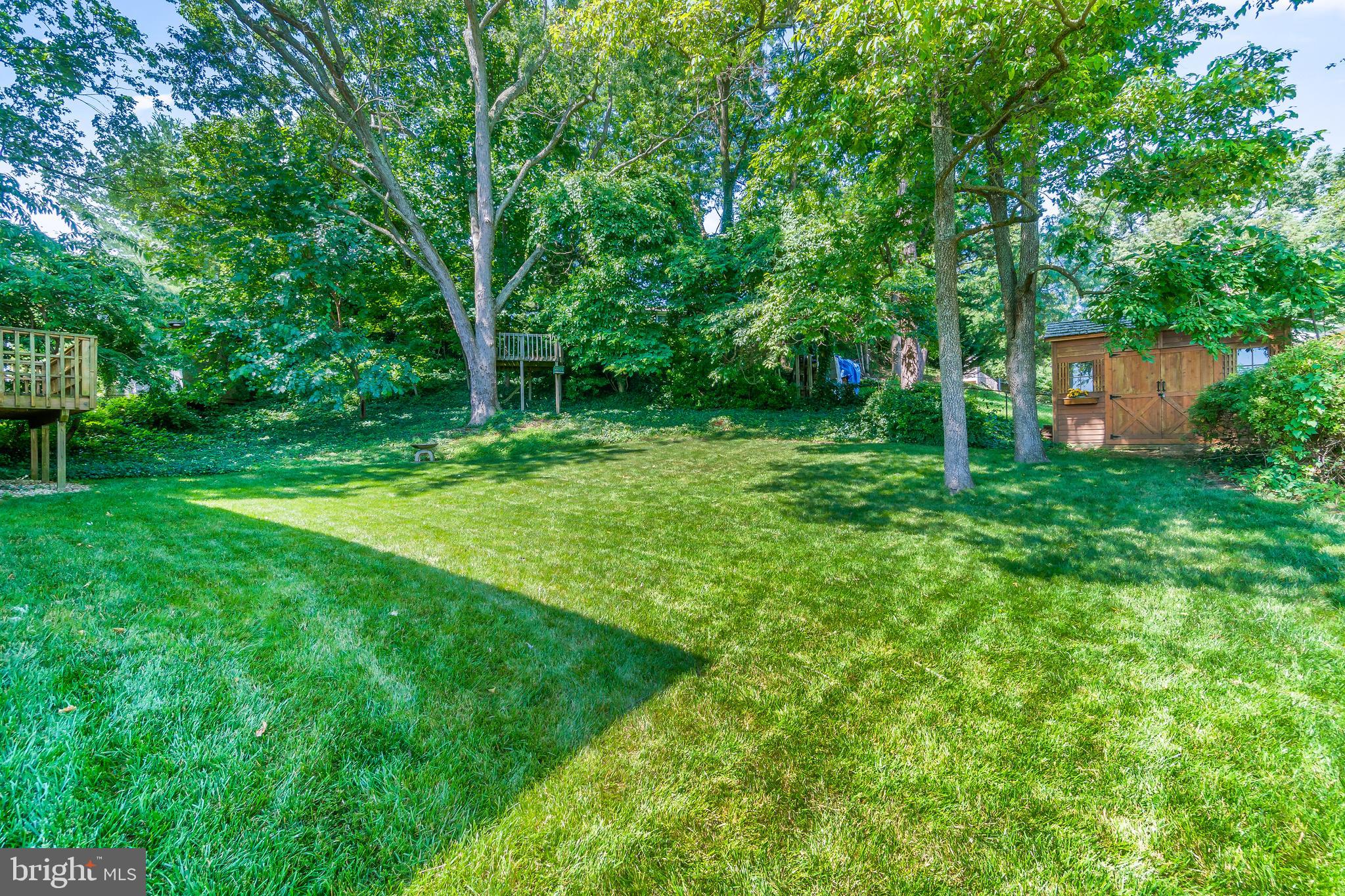 5802 Norton Road Alexandria, VA 22303 - Photo 27 of 32 Beautiful lawn, tree fort, garden shed