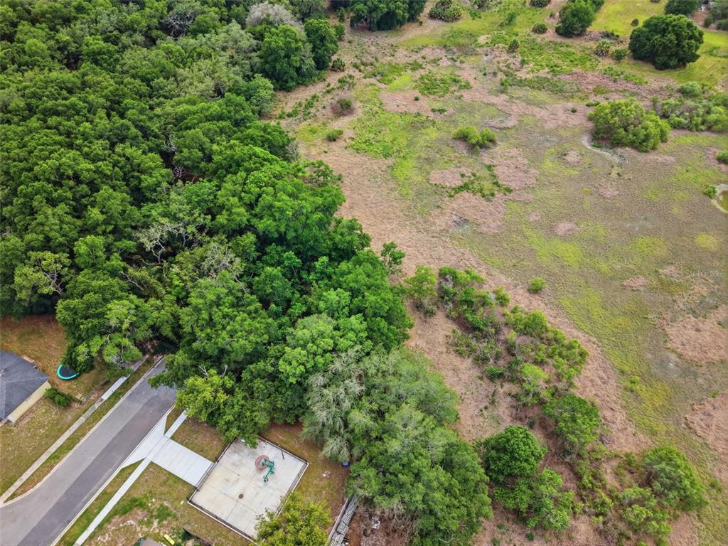 Sardina Boulevard Orlando, FL 32818 - Photo 11 of 17