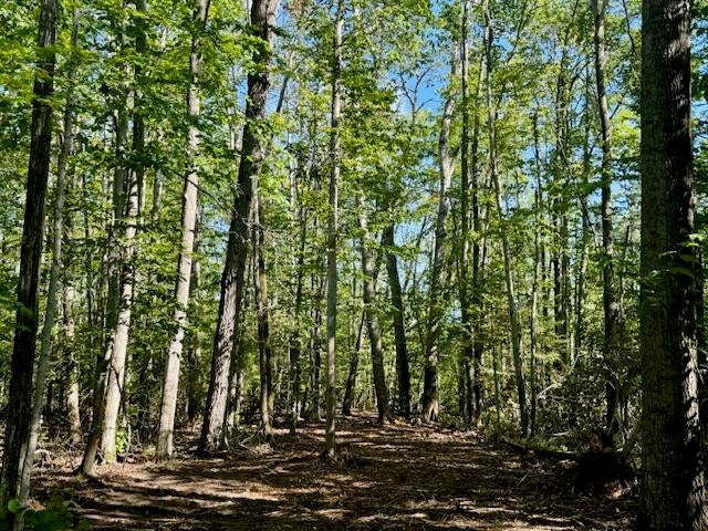 Parcel C Long Lake Road Cheboygan, MI 49721 - Photo 10 of 13 Parcel B From Drive