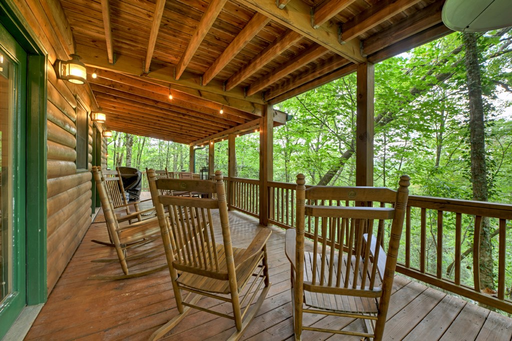879 Mill Stone Mountain Lane Blue Ridge, GA 30513 - Photo 24 of 44 Gallery Image 24