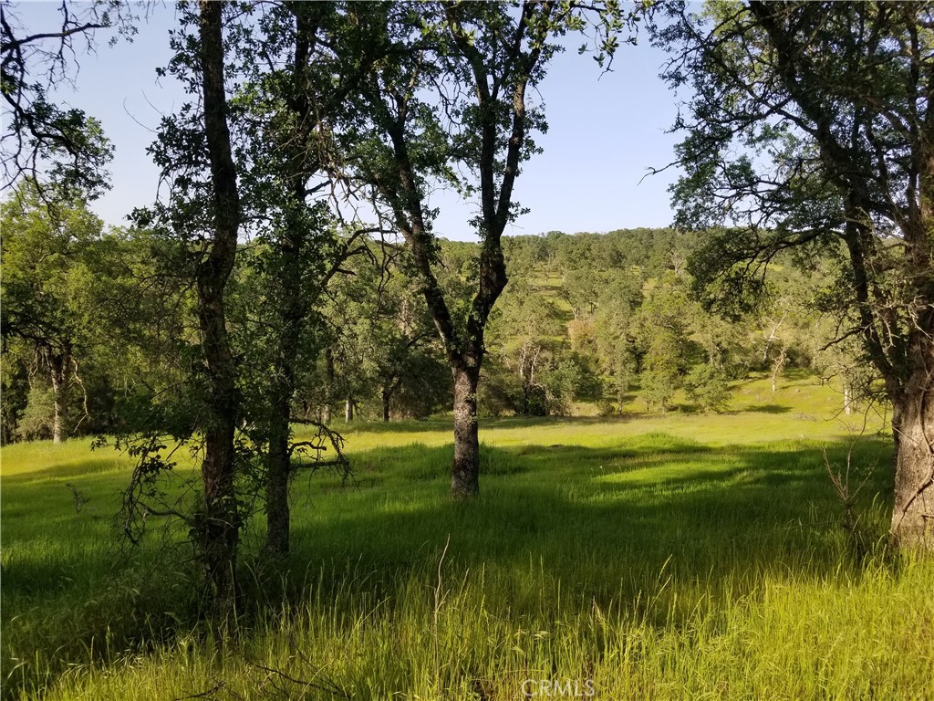 0 Bethridge Road Oroville, CA 95966 - Photo 3 of 9