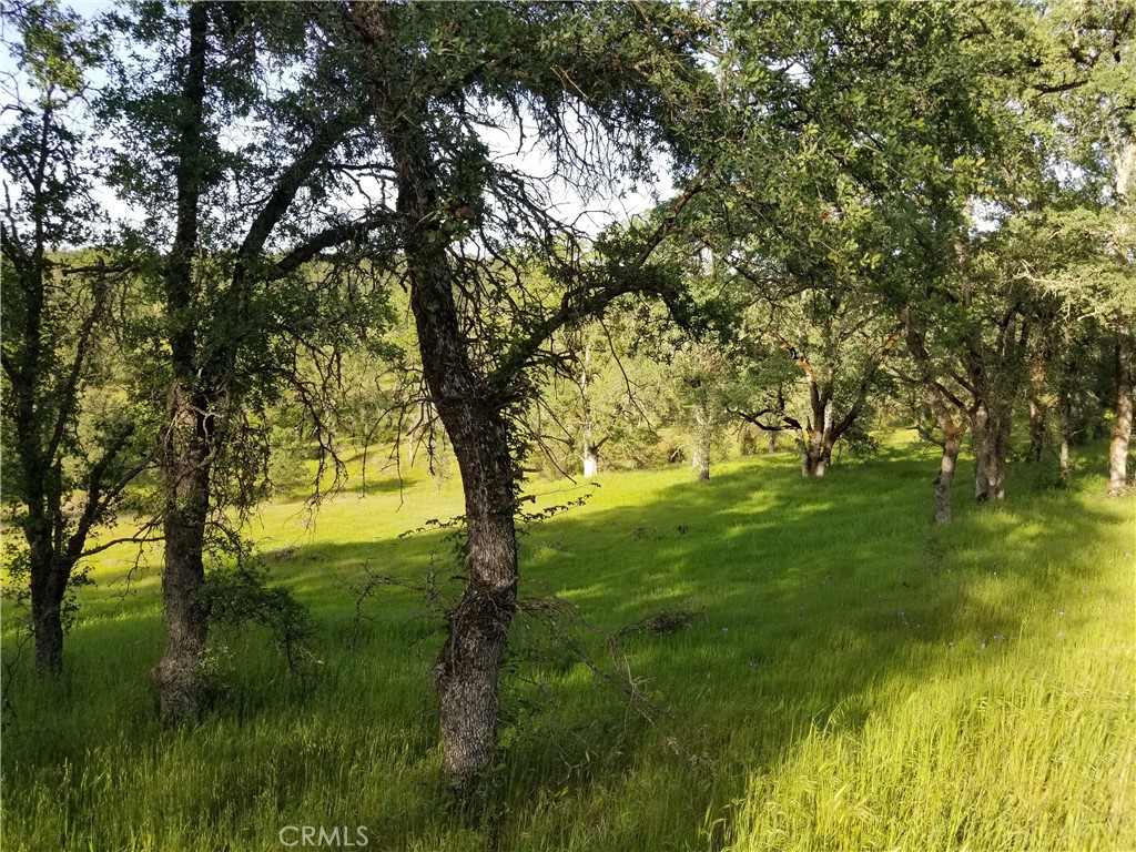 0 Bethridge Road Oroville, CA 95966 - Photo 4 of 9
