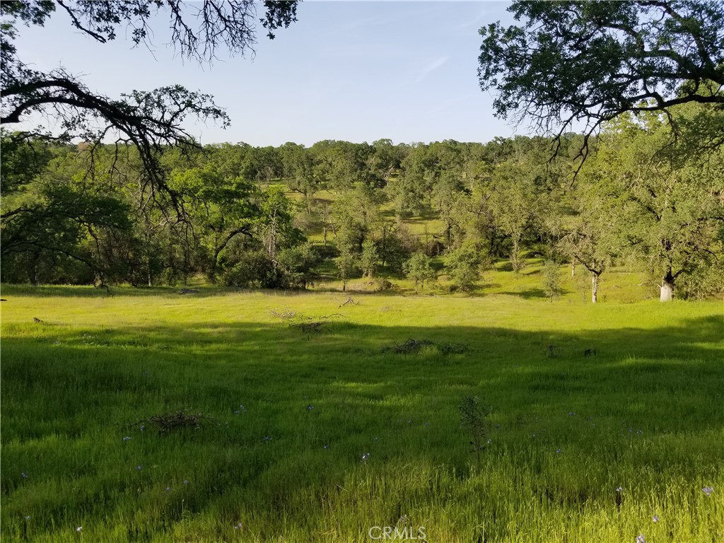 0 Bethridge Road Oroville, CA 95966 - Photo 5 of 9