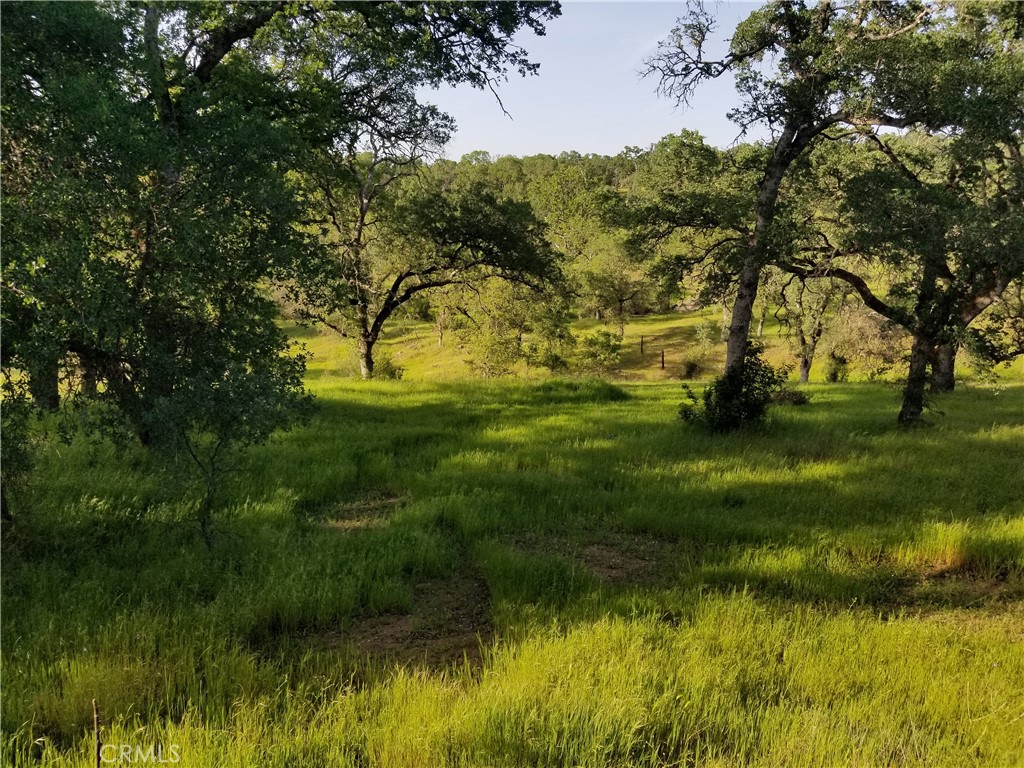 0 Bethridge Road Oroville, CA 95966 - Photo 6 of 9