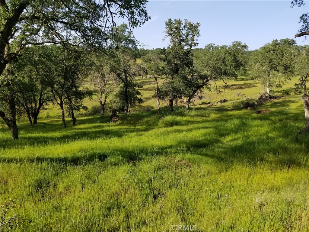 0 Bethridge Road Oroville, CA 95966 - Photo 7 of 9