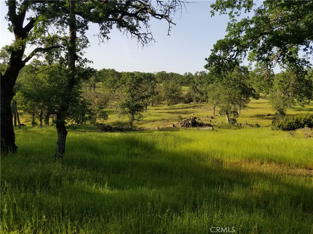 0 Bethridge Road Oroville, CA 95966 - Photo 8 of 9