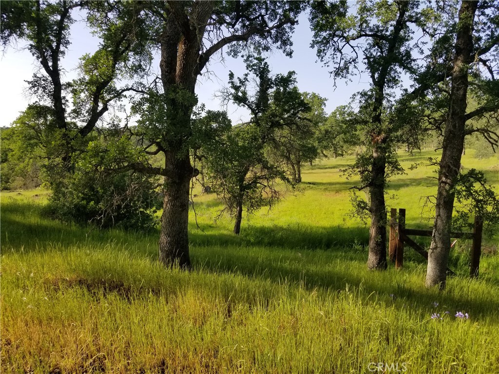 0 Bethridge Road Oroville, CA 95966 - Photo 9 of 9