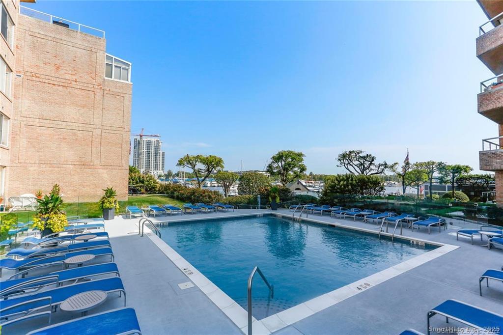 98 Southfield Avenue, Unit 101 Stamford, CT 06902 - Photo 23 of 24 Pool in summer