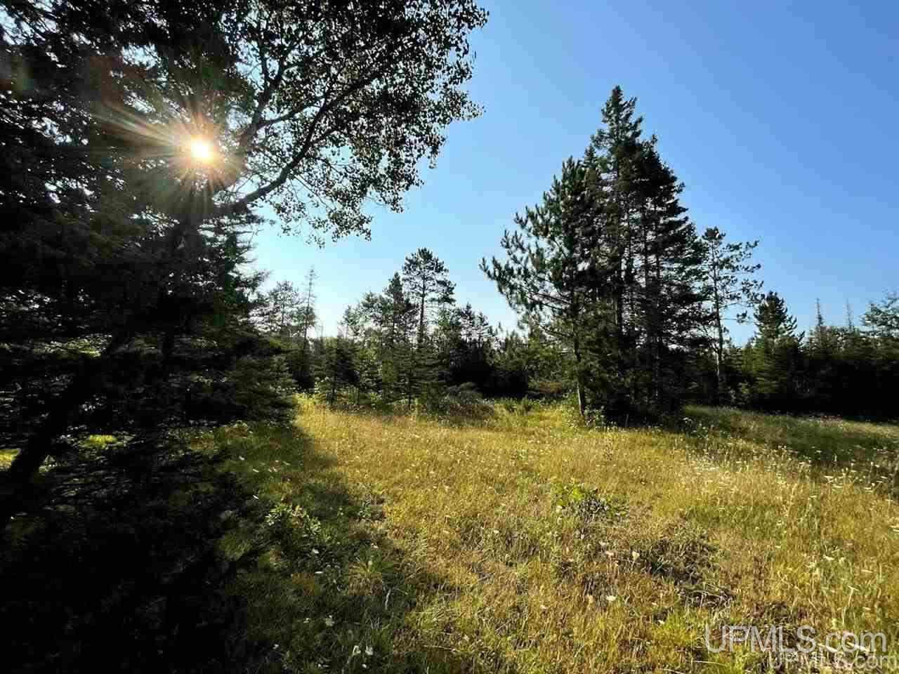 10883 Co Road Rapid River, MI 49878 - Photo 3 of 4