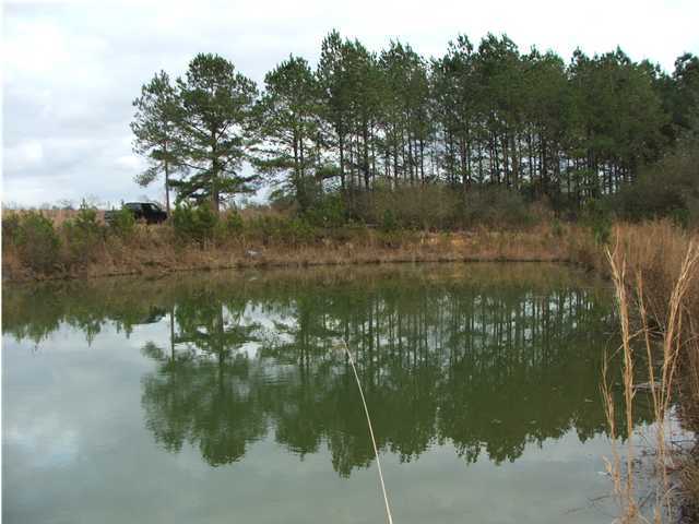 22-ac Chance Road Florala, AL 36442 - Photo 1 of 1