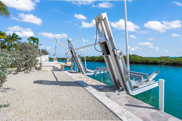 a view of a swimming pool with a garden and trees