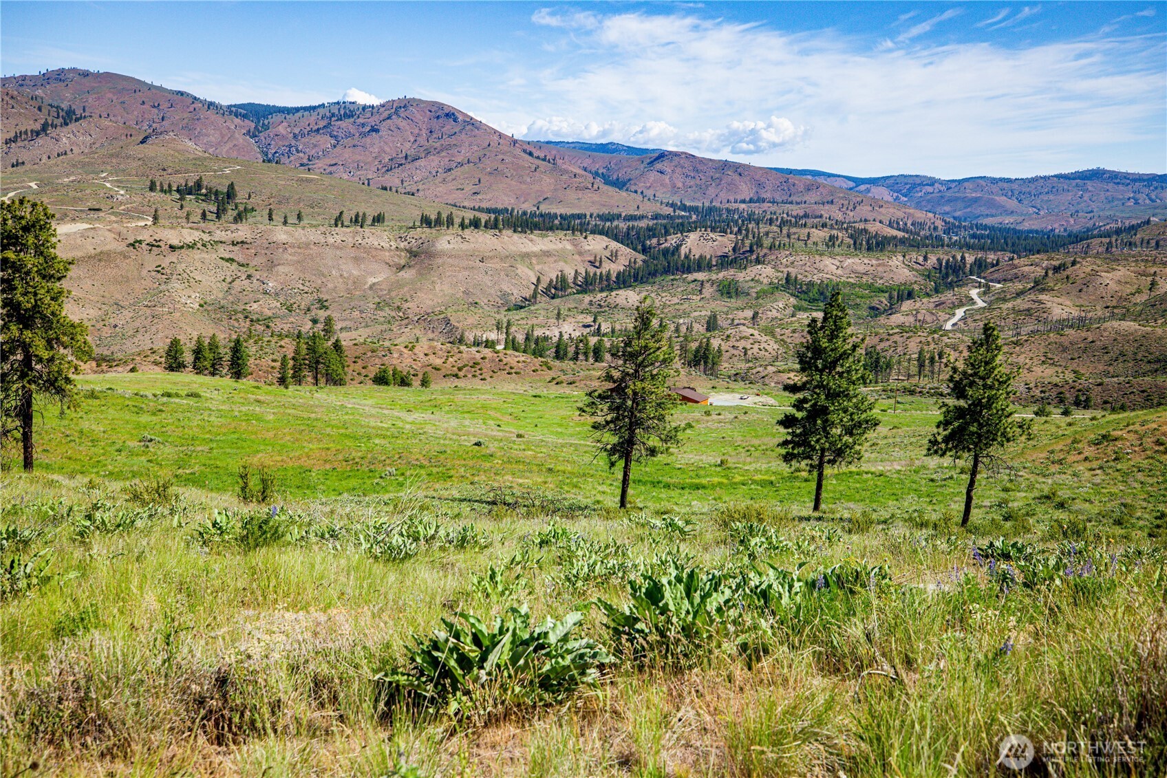 0 Sawtooth View Road Pateros, WA 98846 - Photo 4 of 10 a view of a lush green hillside and a houses