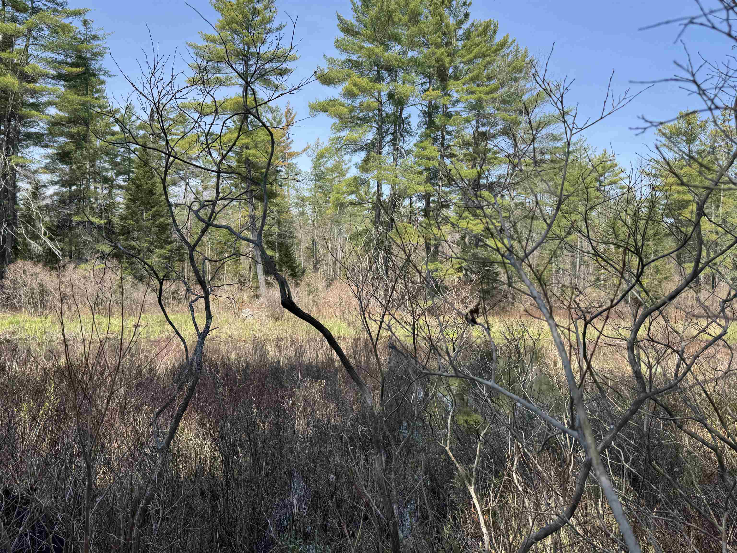 0 Province Lake Road Effingham, NH 03882 - Photo 11 of 45