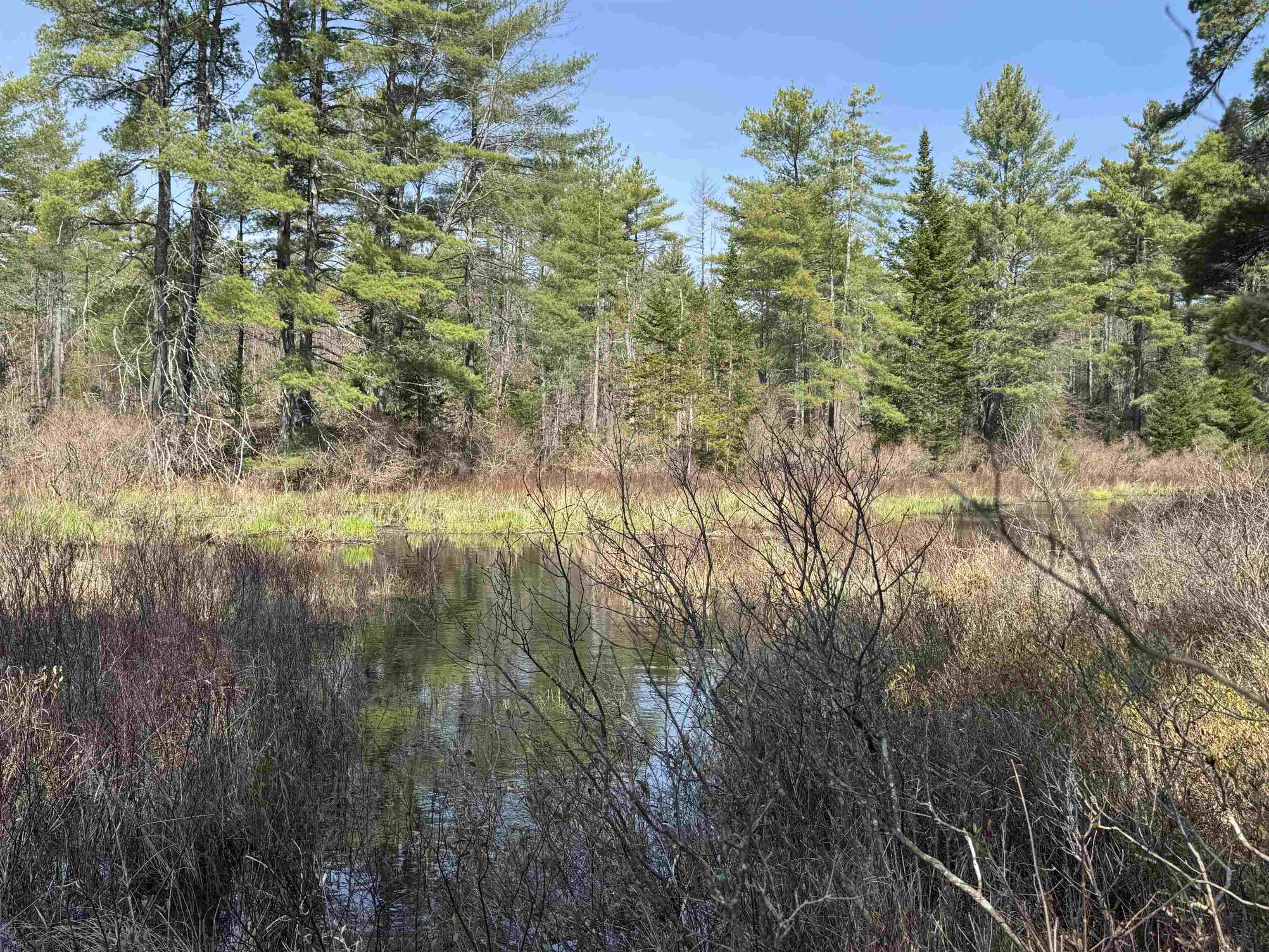 0 Province Lake Road Effingham, NH 03882 - Photo 13 of 45