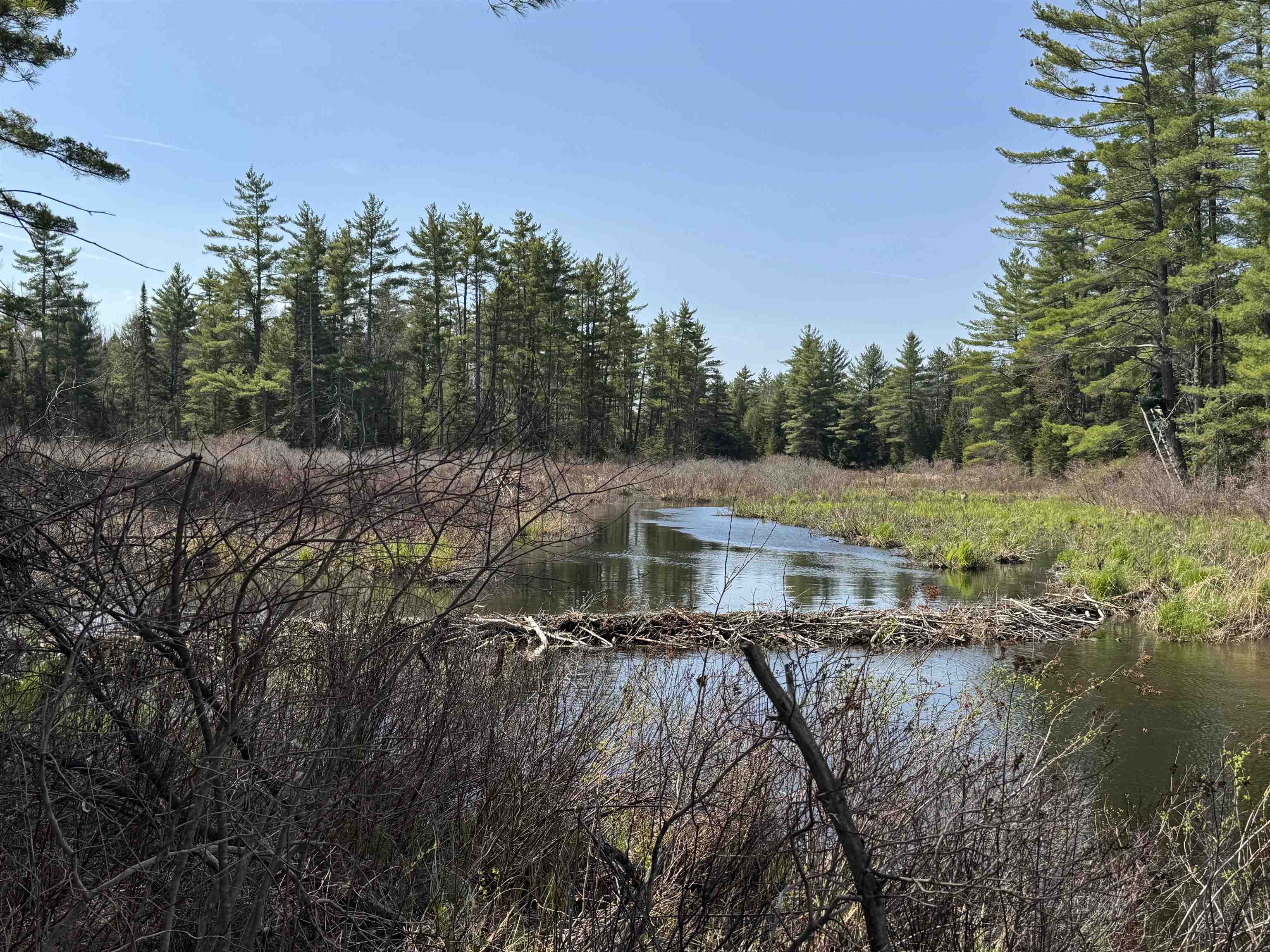 0 Province Lake Road Effingham, NH 03882 - Photo 14 of 45