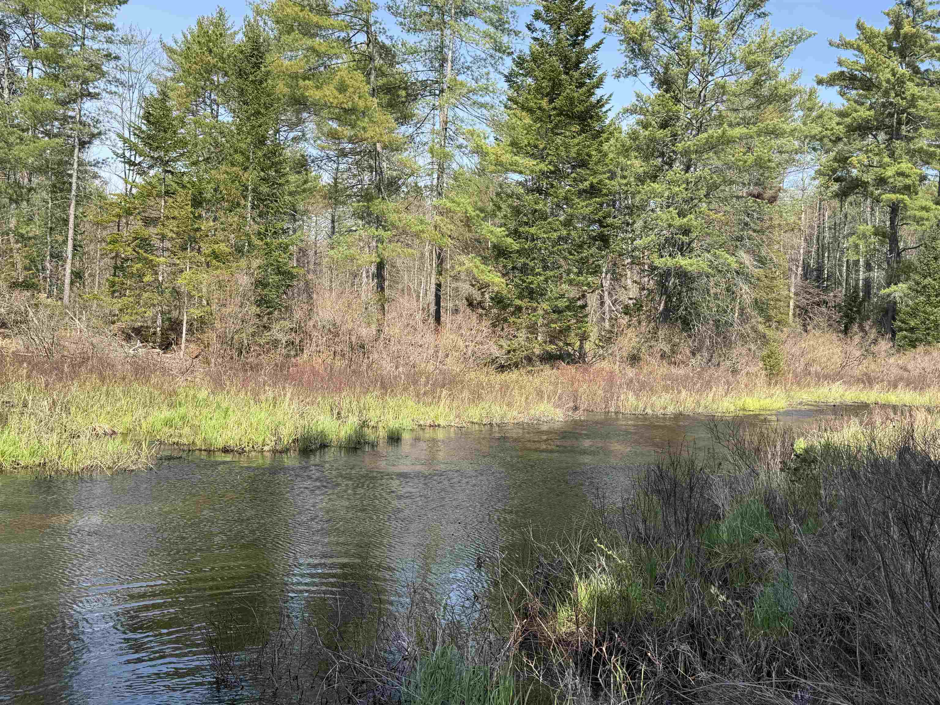 0 Province Lake Road Effingham, NH 03882 - Photo 15 of 45