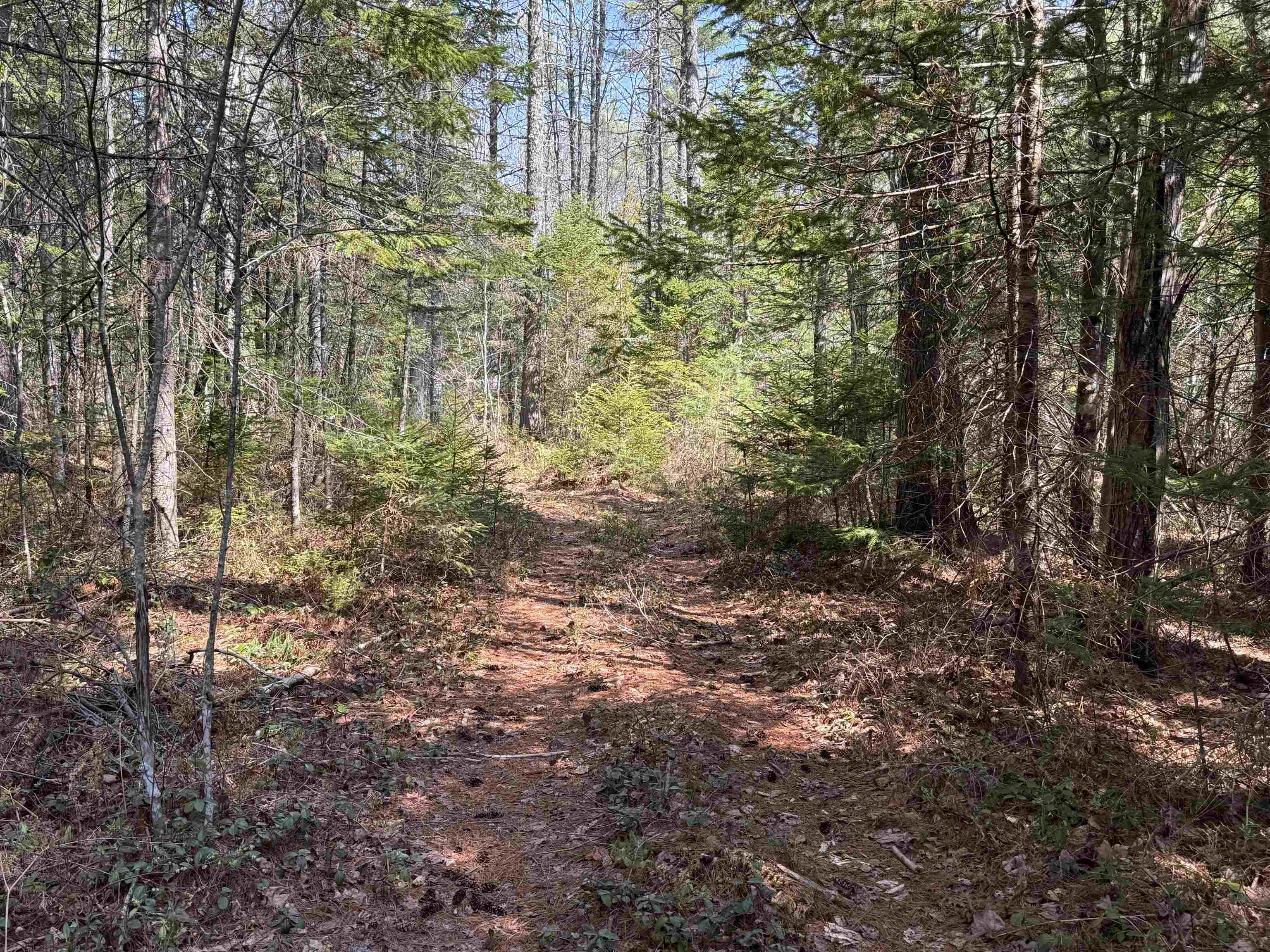 0 Province Lake Road Effingham, NH 03882 - Photo 17 of 45