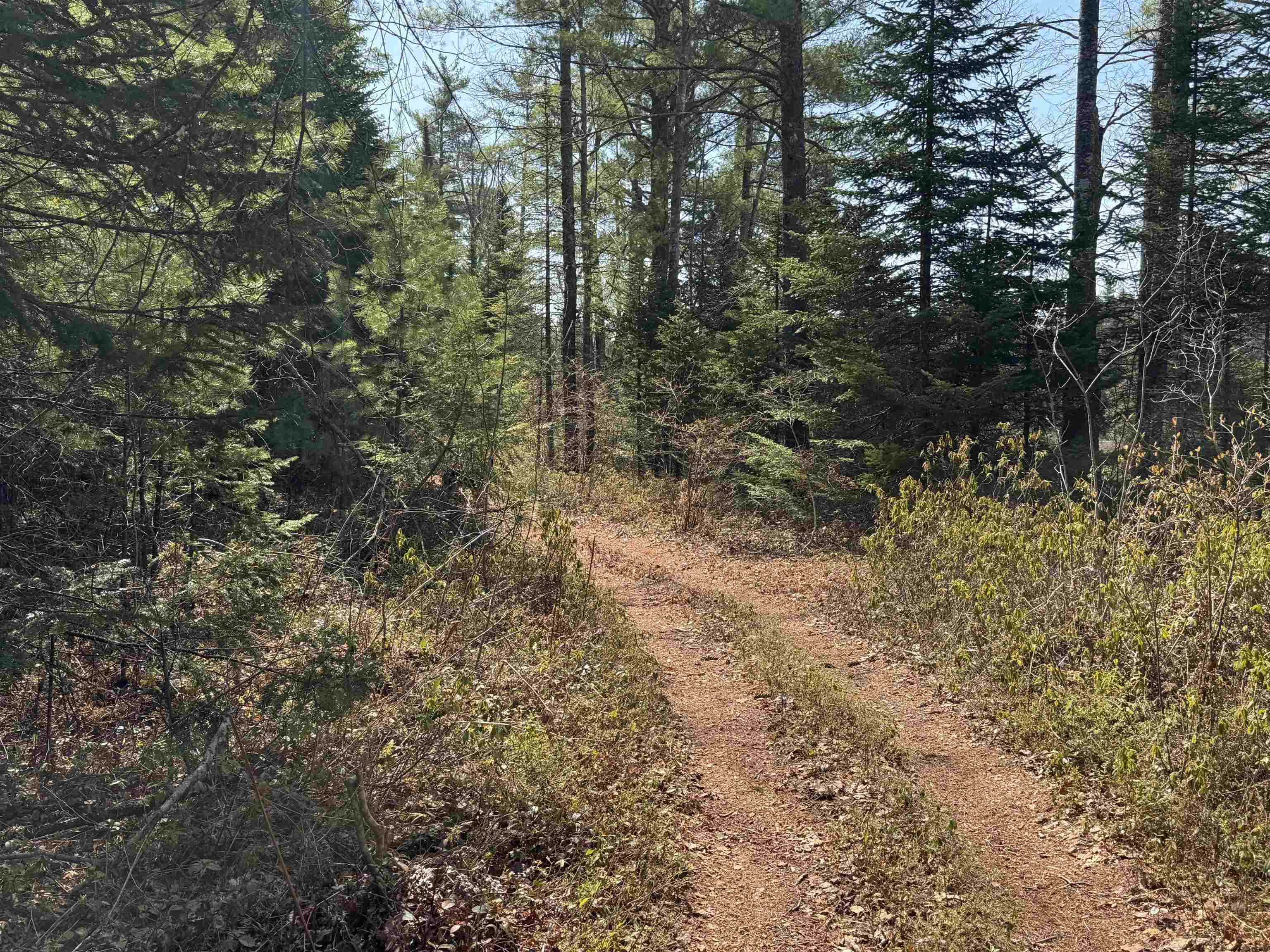 0 Province Lake Road Effingham, NH 03882 - Photo 19 of 45