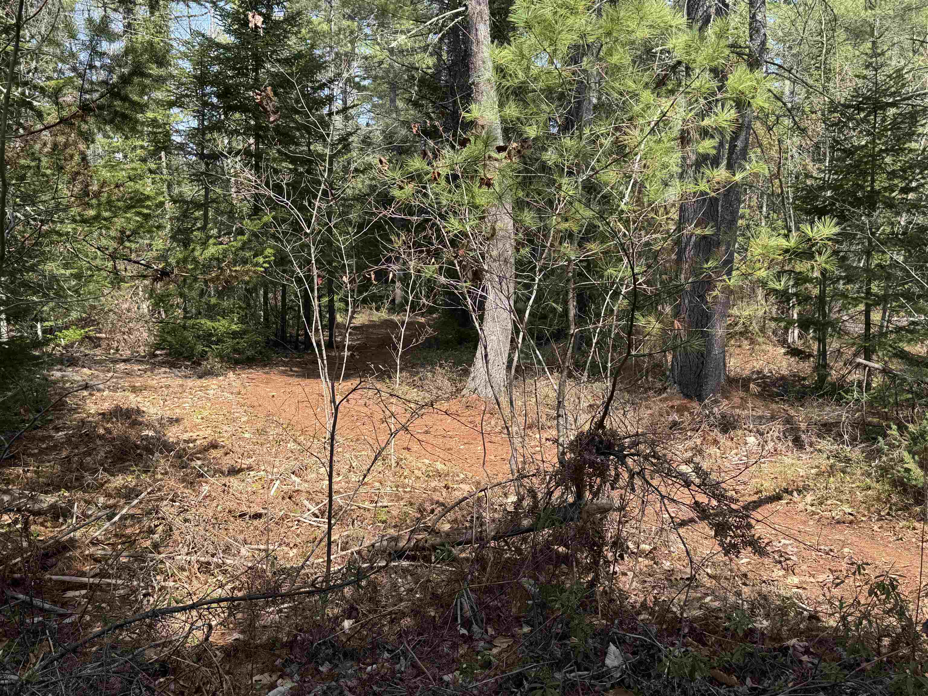 0 Province Lake Road Effingham, NH 03882 - Photo 20 of 45