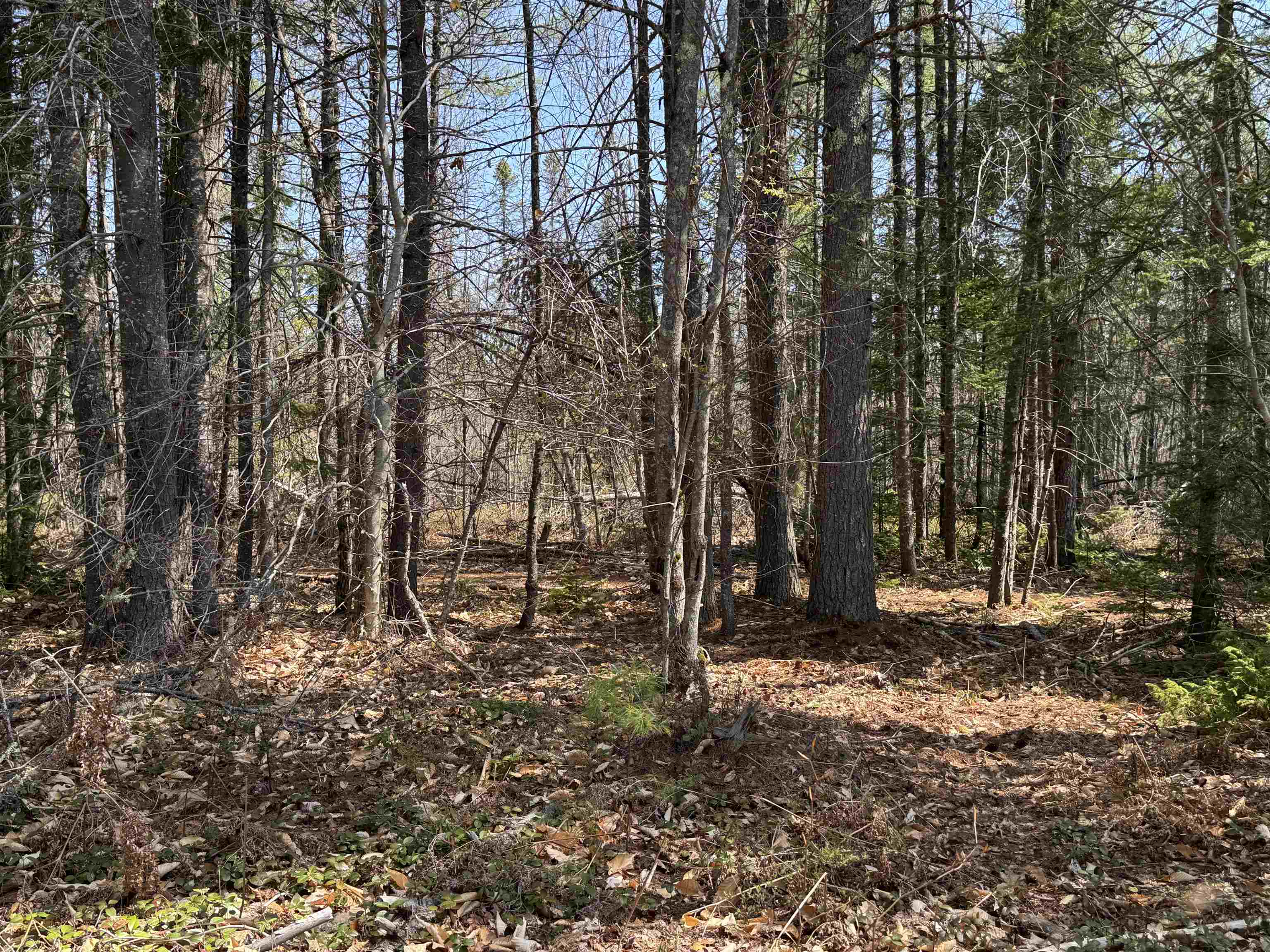 0 Province Lake Road Effingham, NH 03882 - Photo 21 of 45