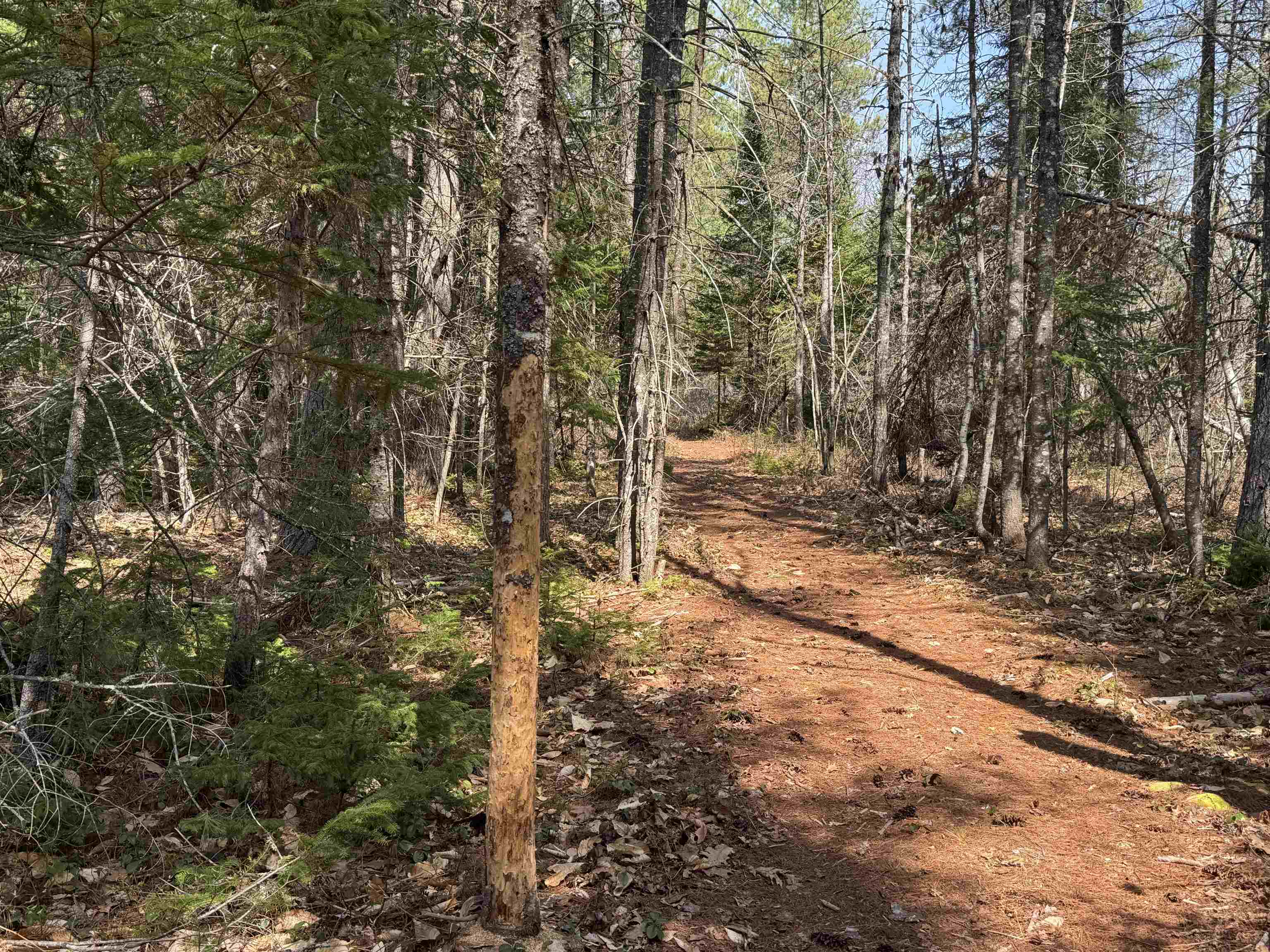 0 Province Lake Road Effingham, NH 03882 - Photo 22 of 45