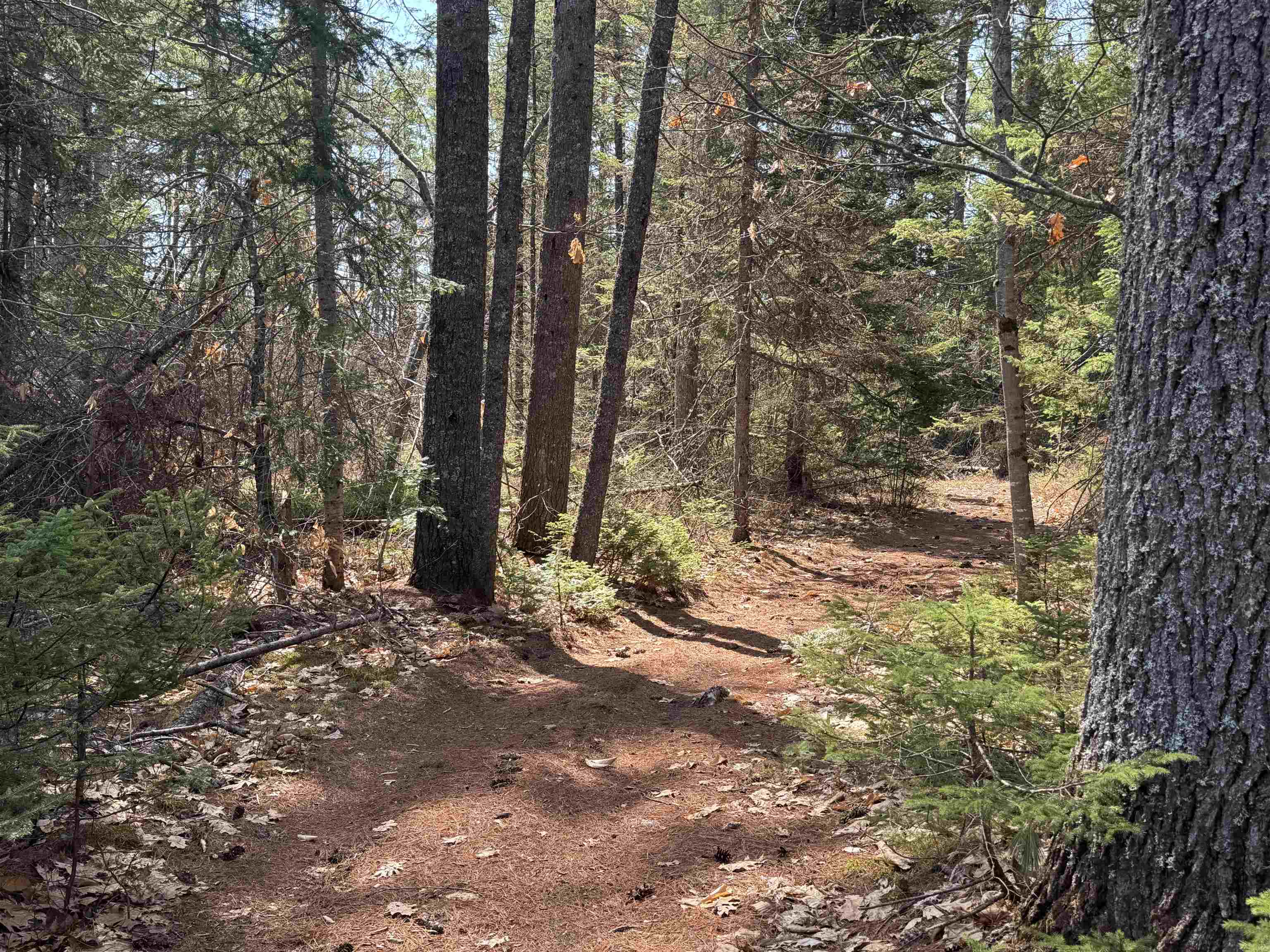 0 Province Lake Road Effingham, NH 03882 - Photo 23 of 45