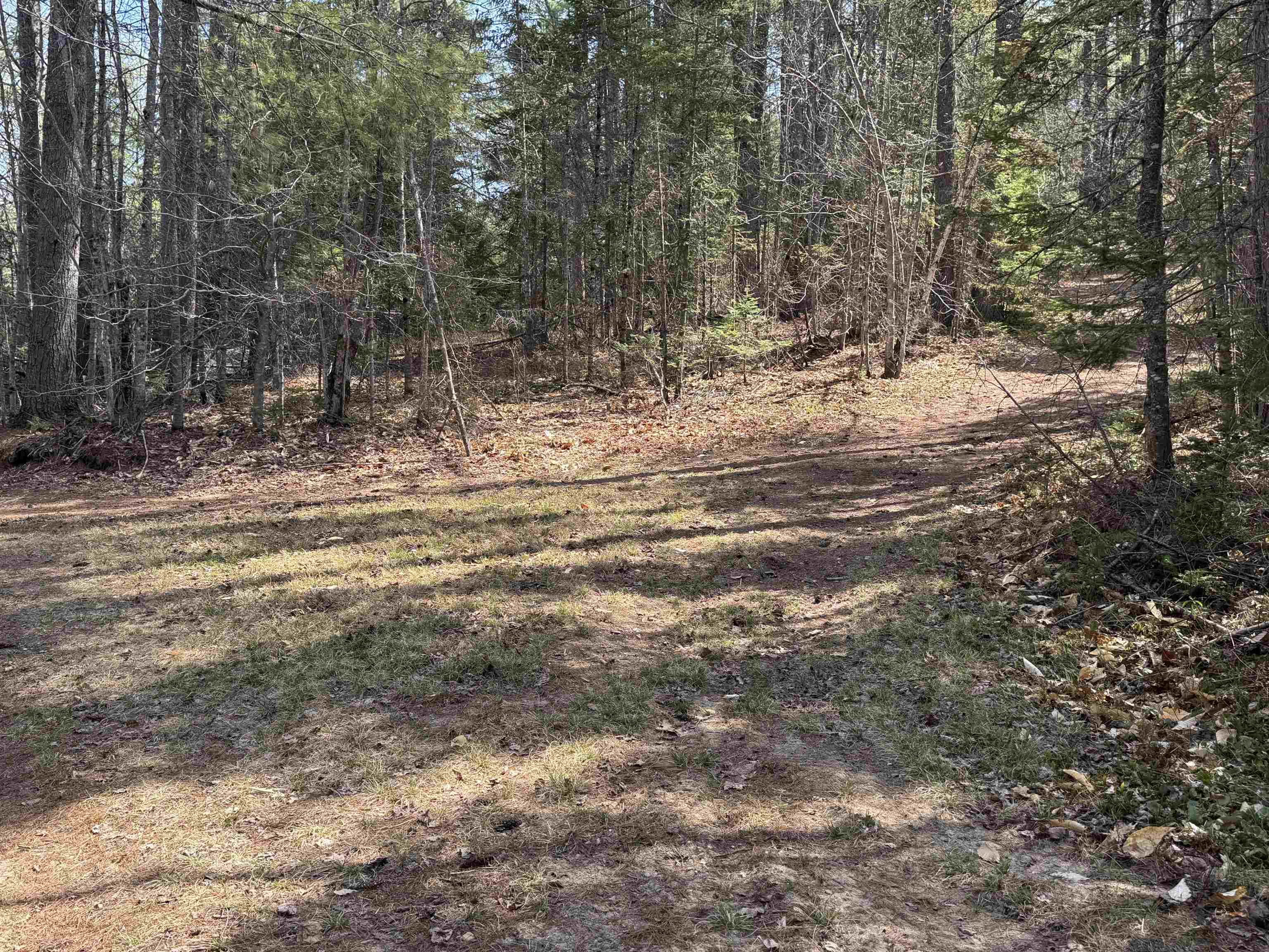 0 Province Lake Road Effingham, NH 03882 - Photo 24 of 45