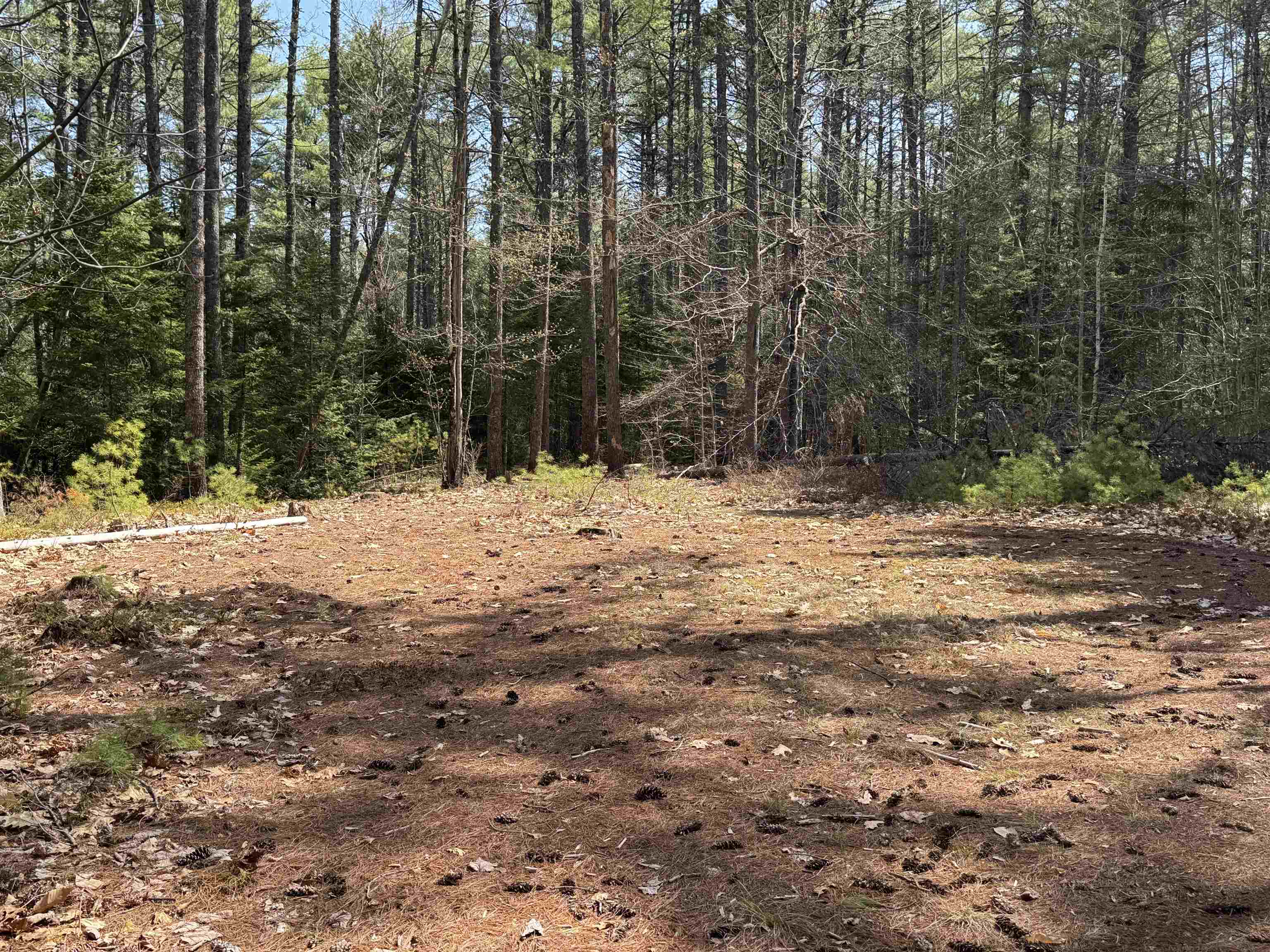 0 Province Lake Road Effingham, NH 03882 - Photo 25 of 45