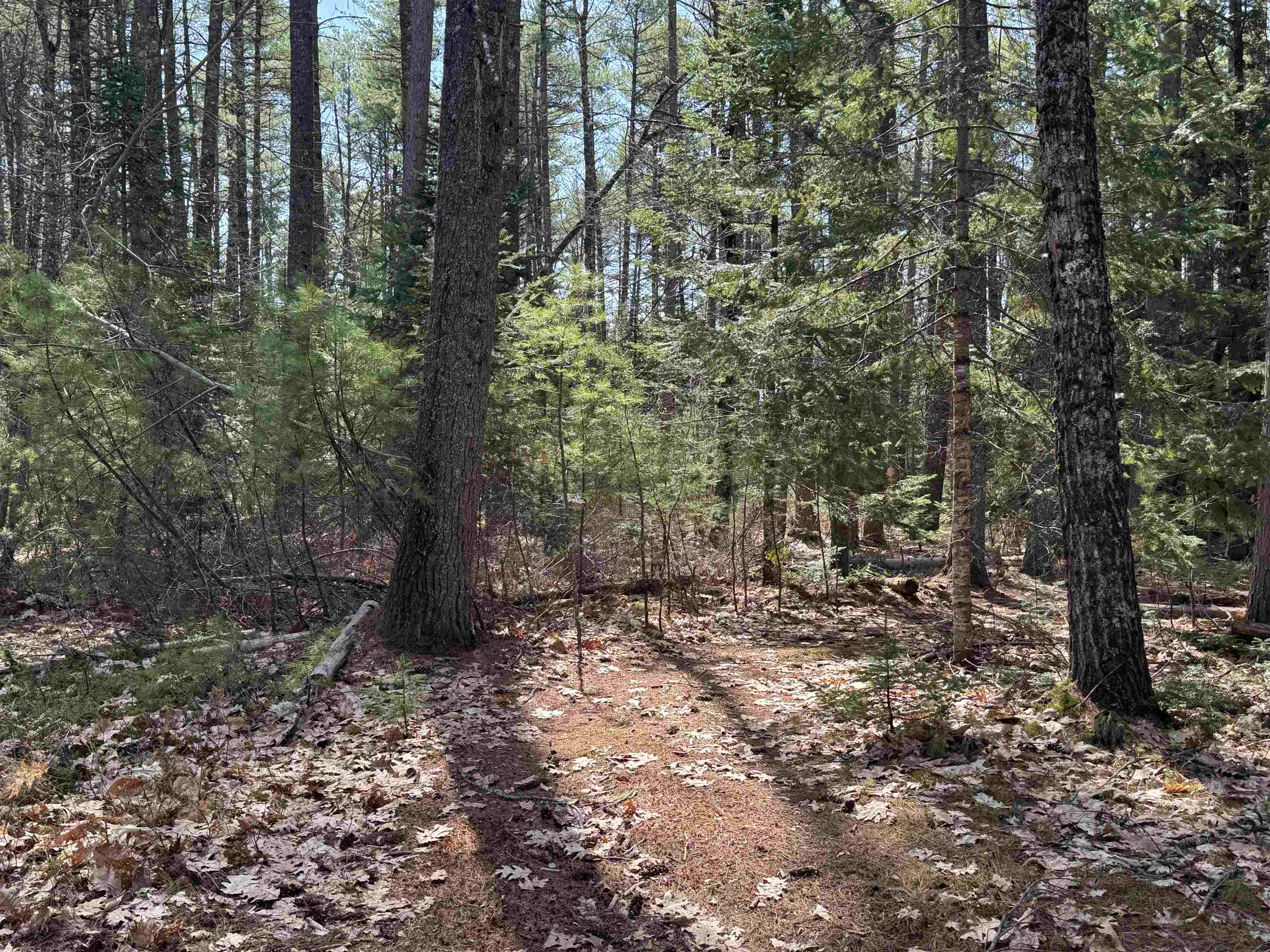 0 Province Lake Road Effingham, NH 03882 - Photo 27 of 45