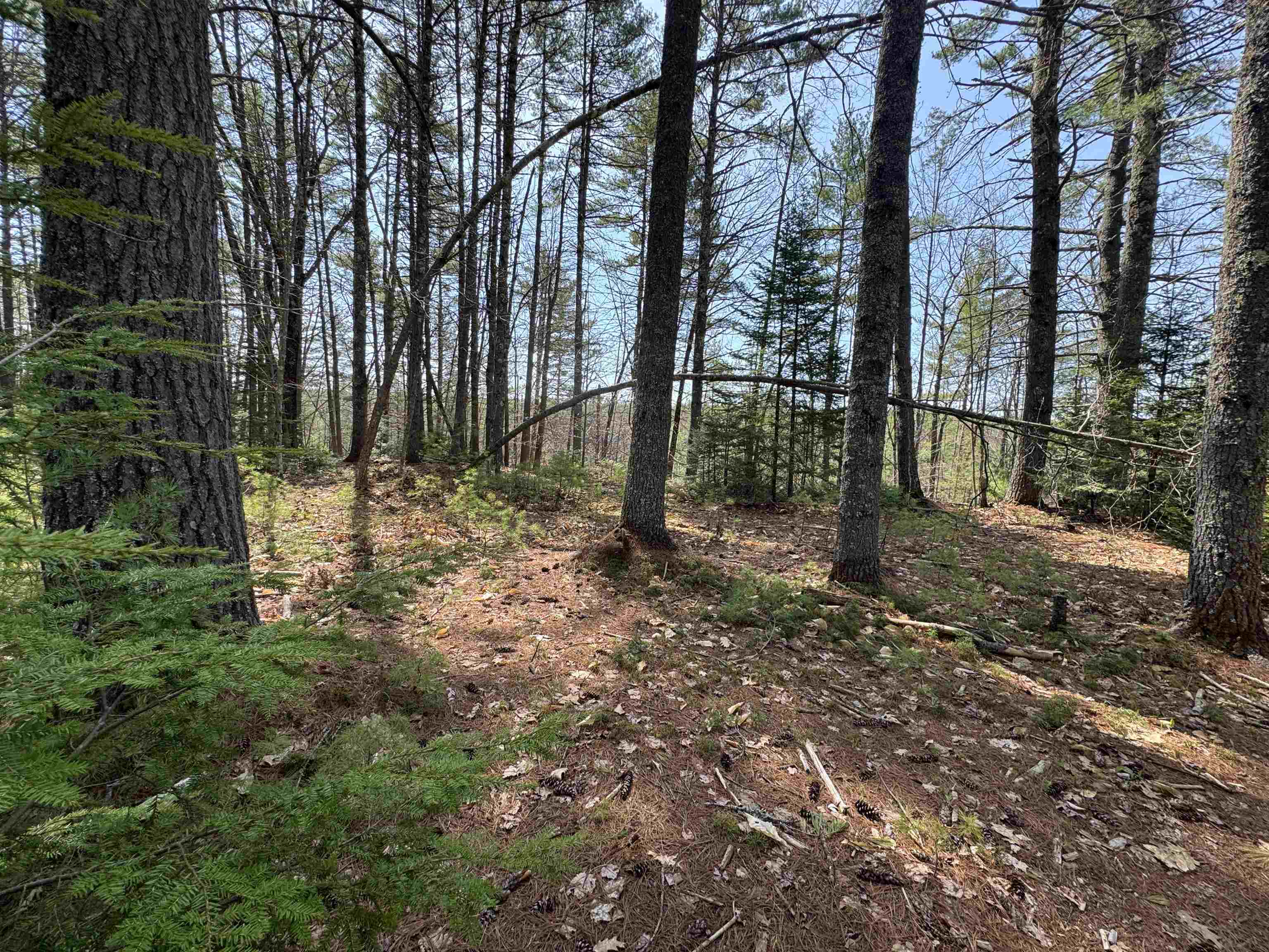 0 Province Lake Road Effingham, NH 03882 - Photo 28 of 45