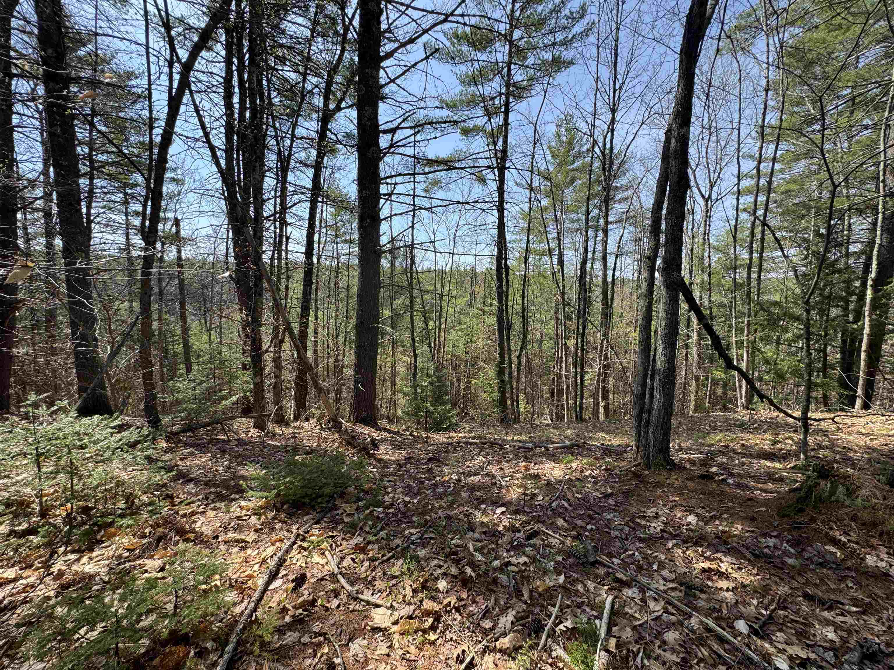 0 Province Lake Road Effingham, NH 03882 - Photo 29 of 45