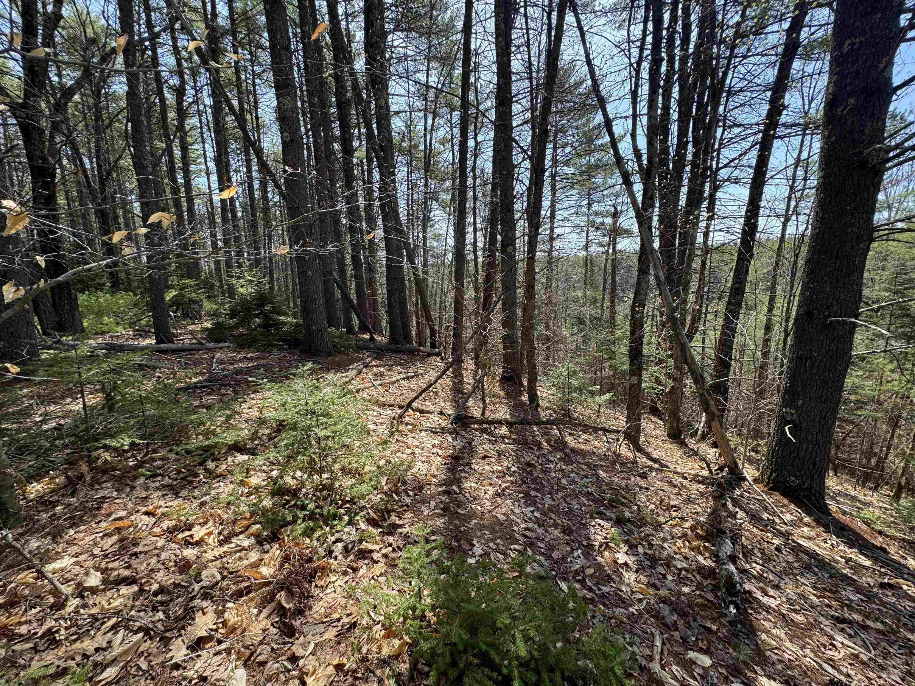 0 Province Lake Road Effingham, NH 03882 - Photo 31 of 45