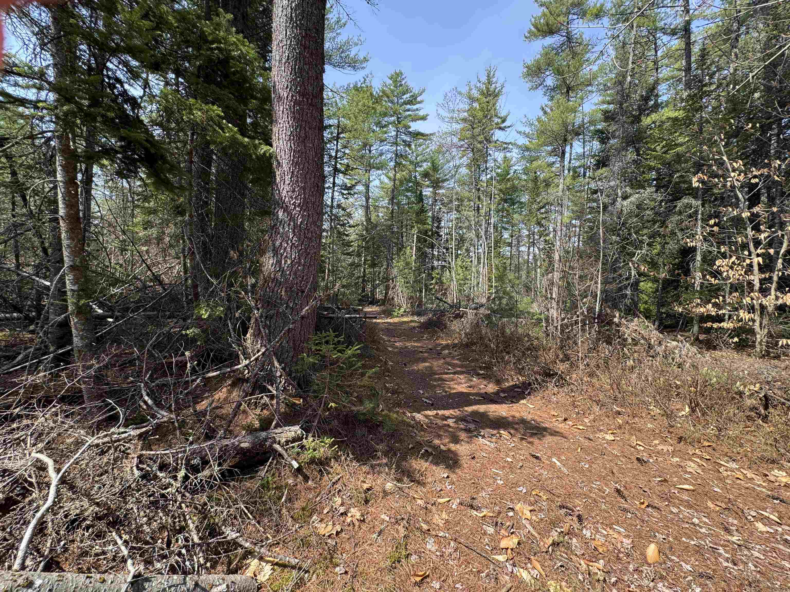 0 Province Lake Road Effingham, NH 03882 - Photo 32 of 45
