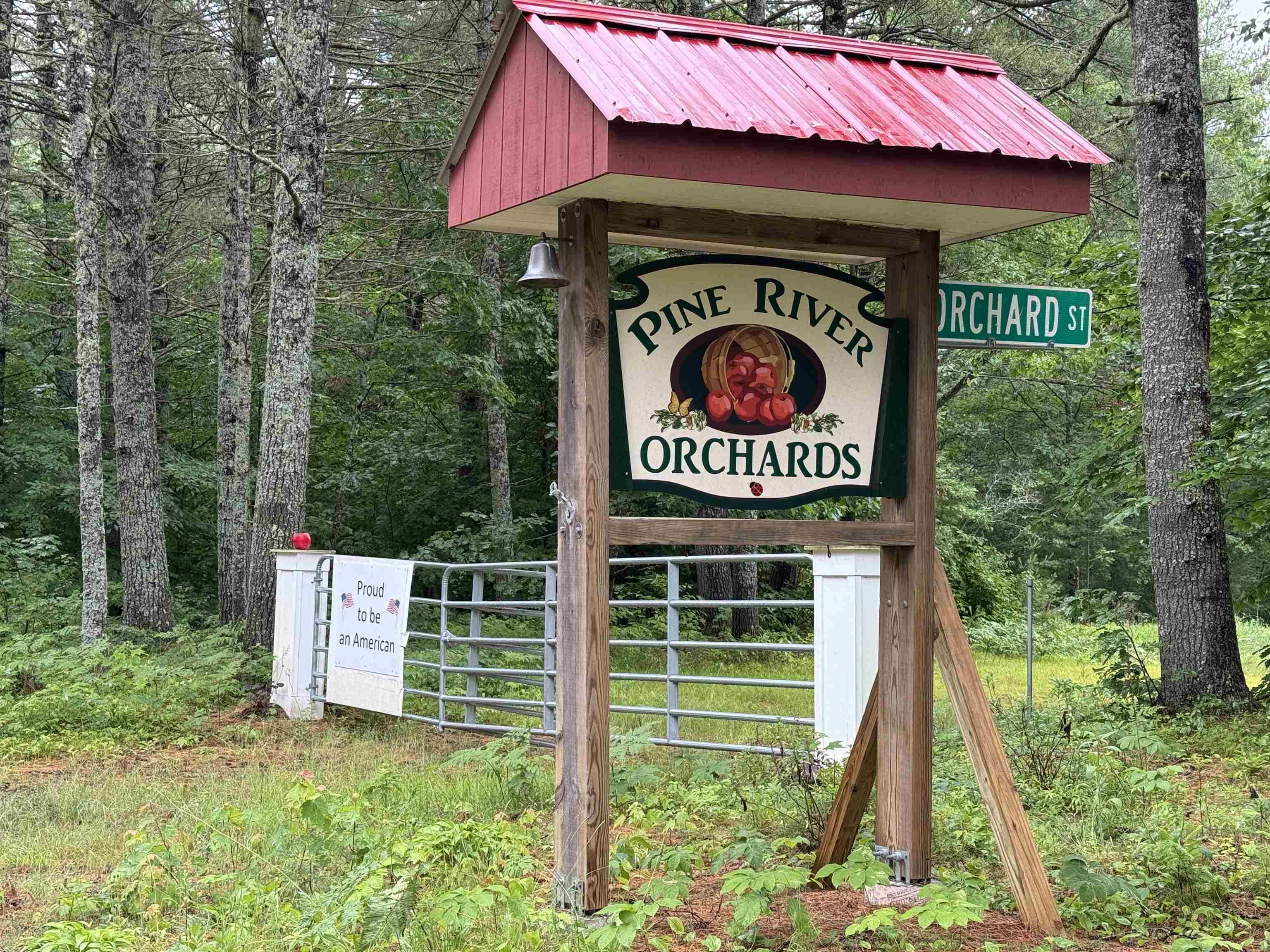 0 Province Lake Road Effingham, NH 03882 - Photo 44 of 45