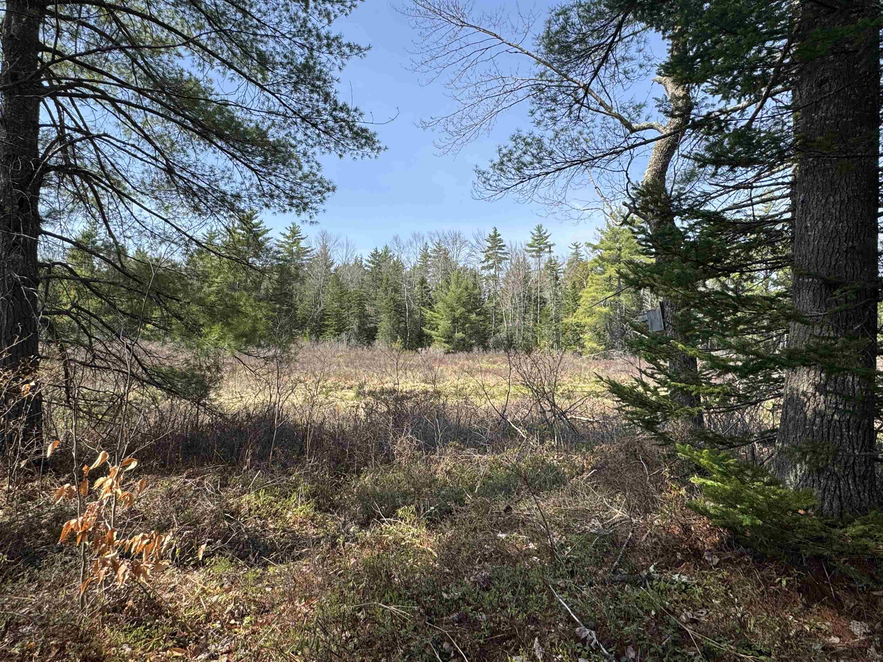 0 Province Lake Road Effingham, NH 03882 - Photo 5 of 45