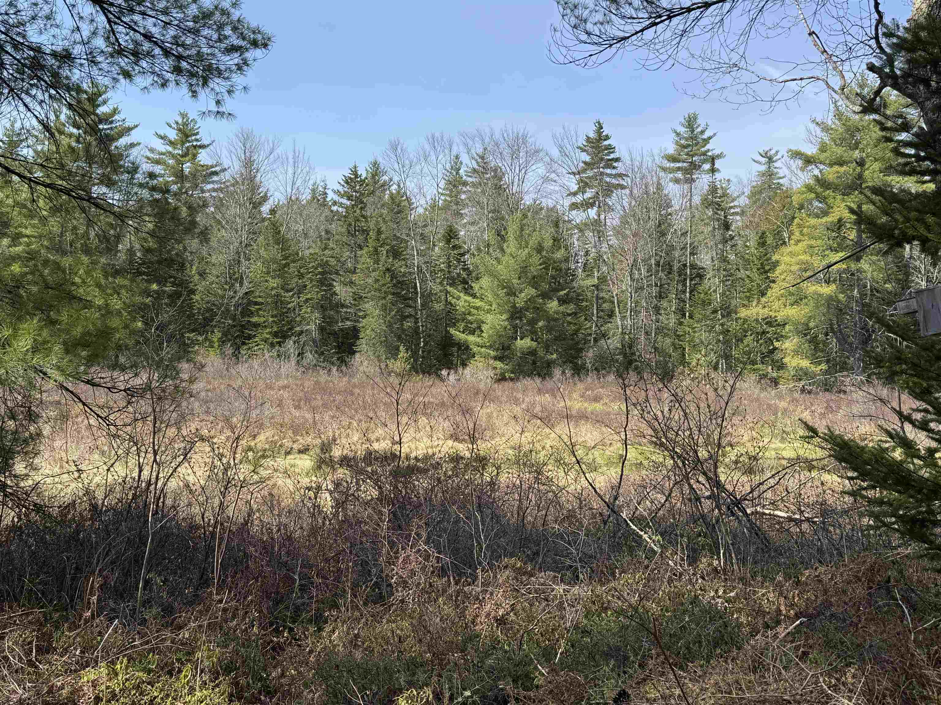 0 Province Lake Road Effingham, NH 03882 - Photo 6 of 45