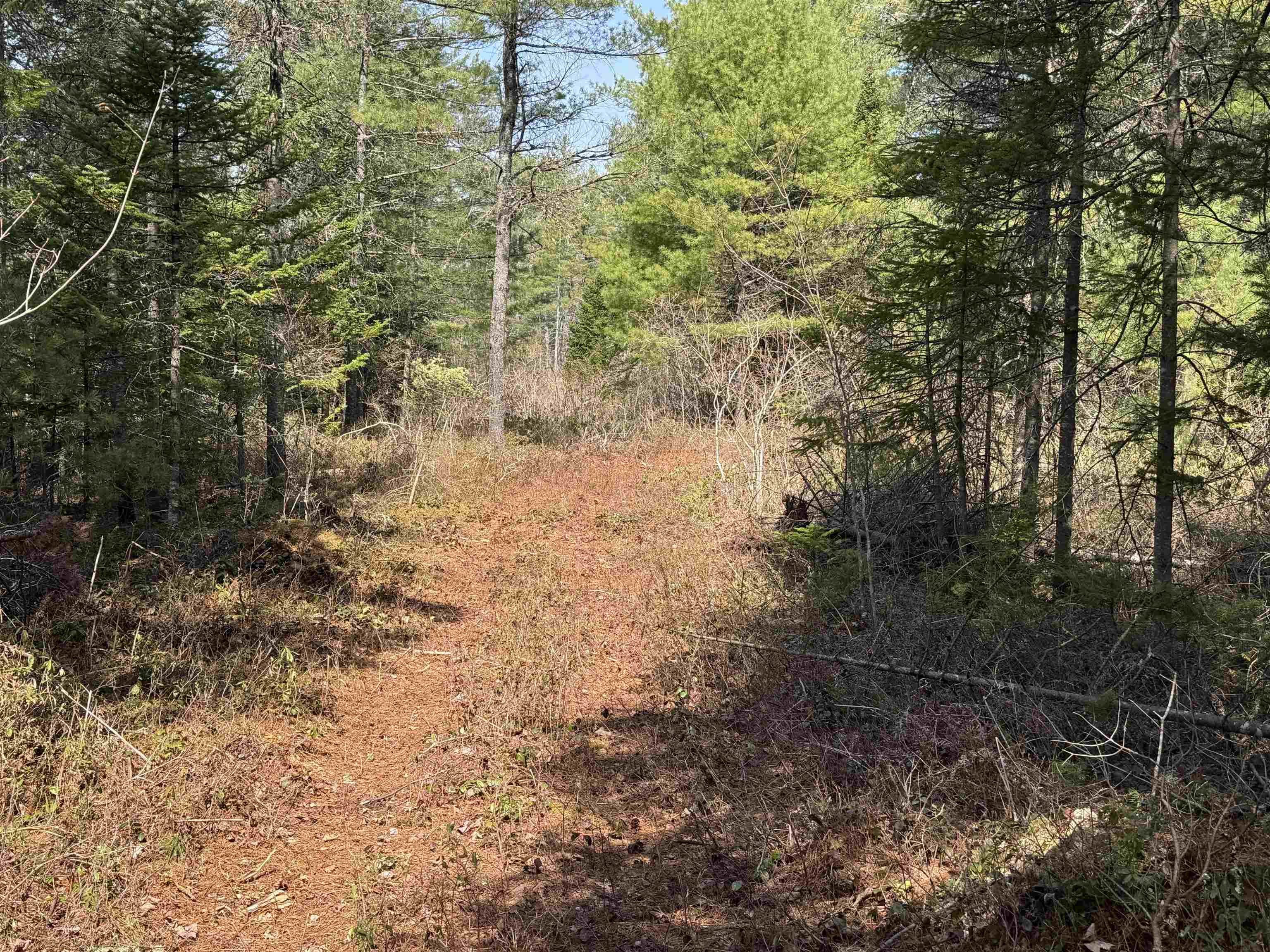 0 Province Lake Road Effingham, NH 03882 - Photo 9 of 45