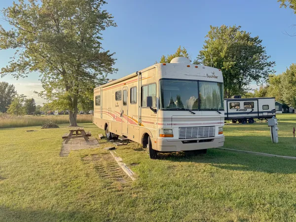 a house view with swimming pool and trees in the background