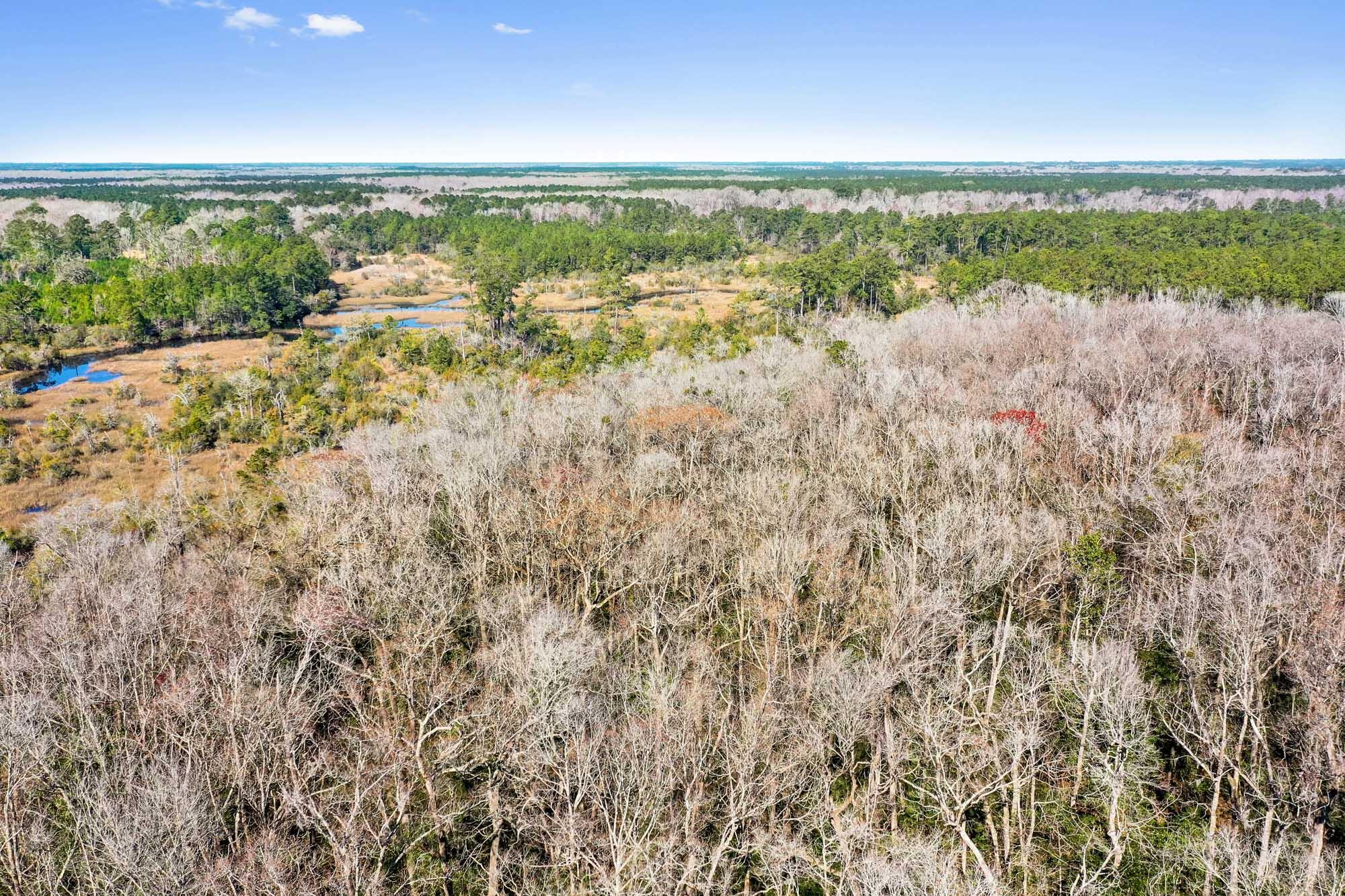 0 West Frontage Road Yemassee, SC 29945 - Photo 25 of 46 HFL_GREGORIE NECK-23
