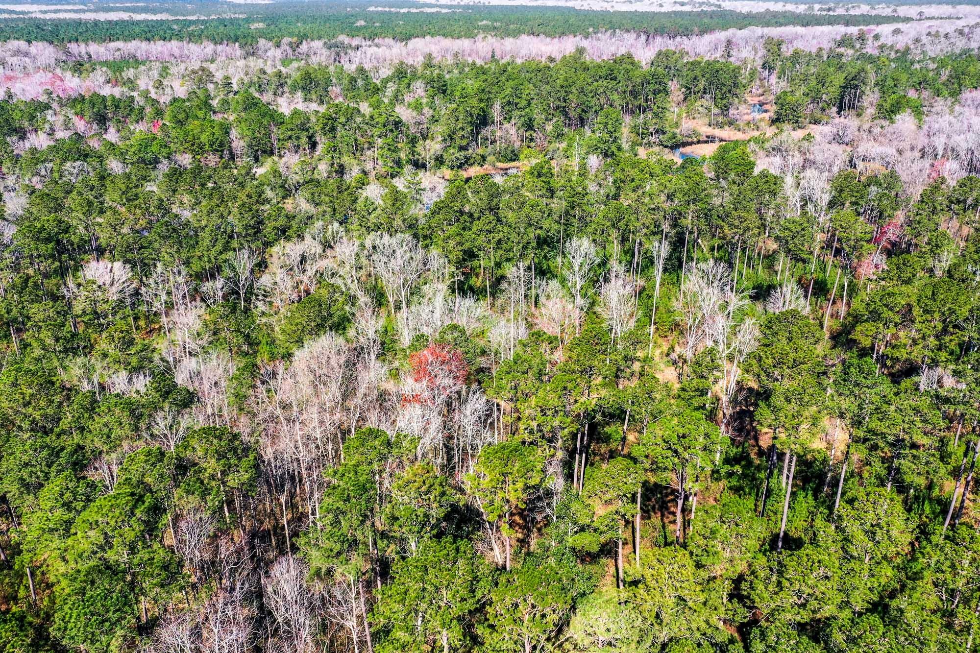 0 West Frontage Road Yemassee, SC 29945 - Photo 38 of 46 HFL_GREGORIE NECK-37