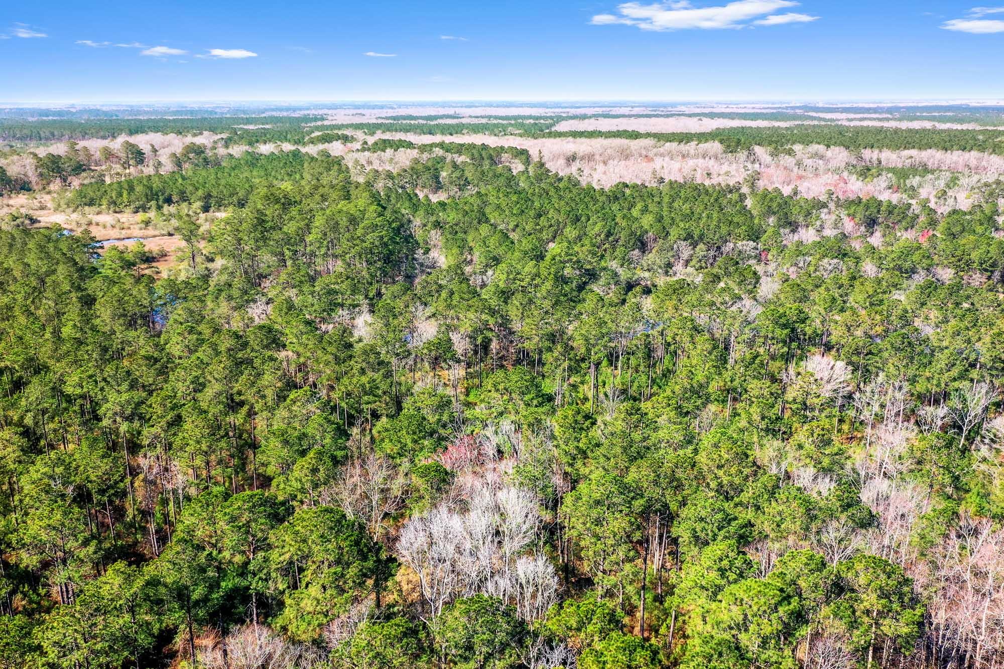 0 West Frontage Road Yemassee, SC 29945 - Photo 39 of 46 HFL_GREGORIE NECK-38