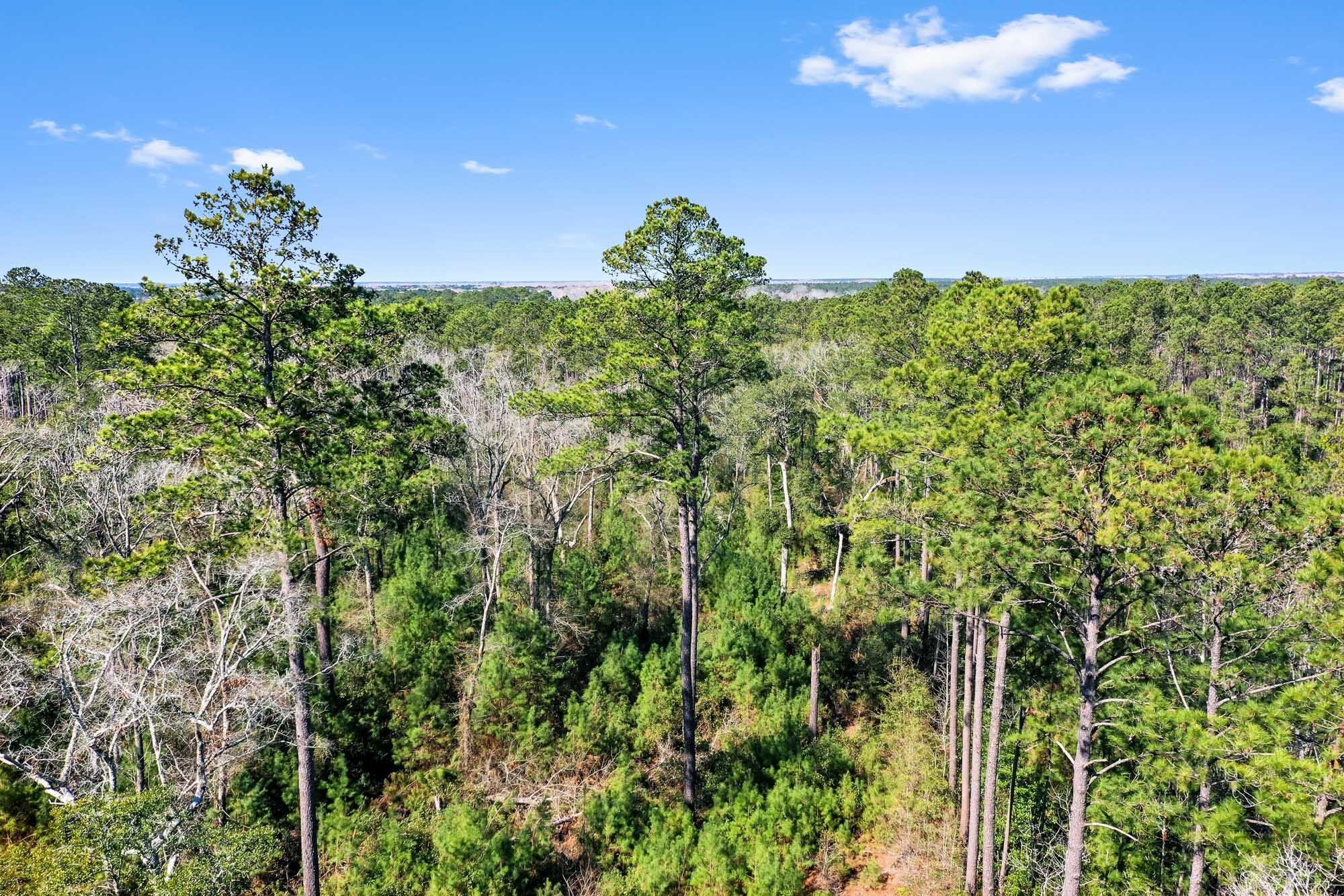 0 West Frontage Road Yemassee, SC 29945 - Photo 40 of 46 HFL_GREGORIE NECK-39