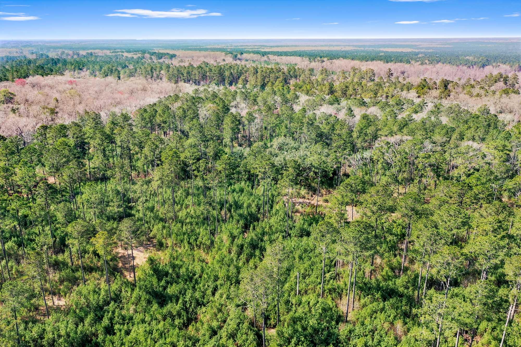 0 West Frontage Road Yemassee, SC 29945 - Photo 42 of 46 HFL_GREGORIE NECK-41